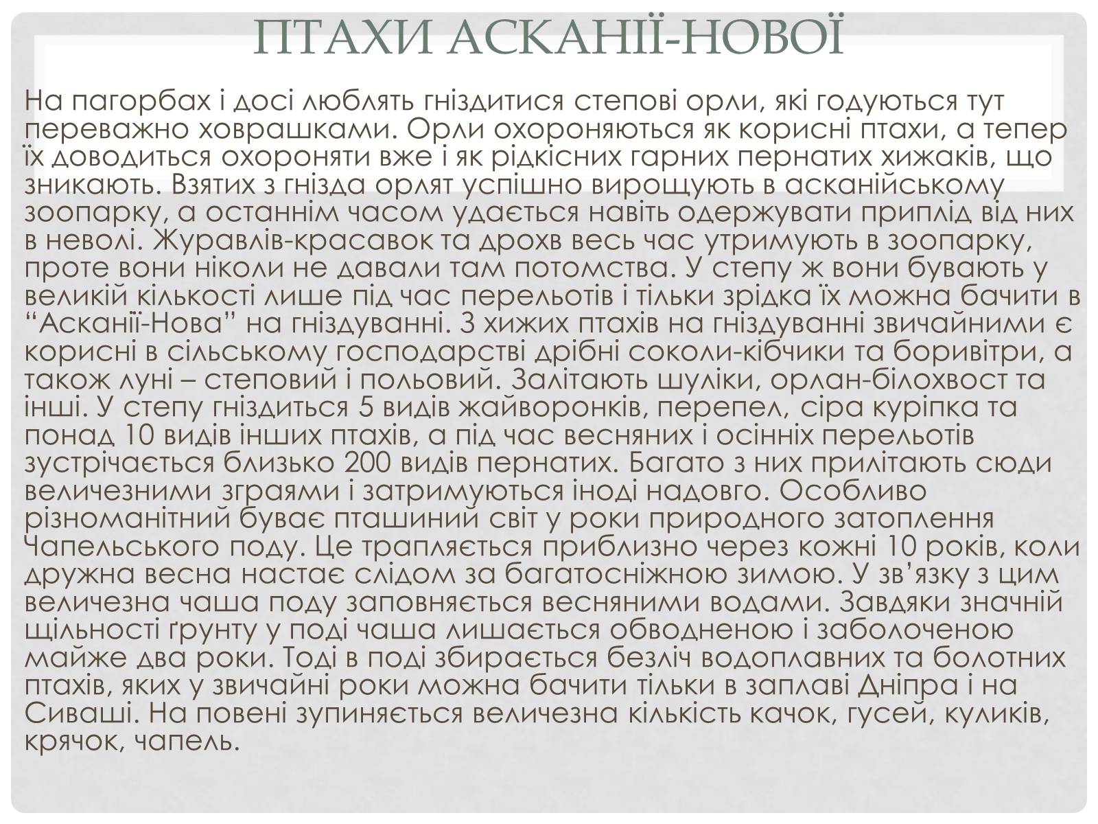 Презентація на тему «Асканія Нова» (варіант 9) - Слайд #11 Презентація на тему «Асканія Нова» (варіант 9) - Слайд #11