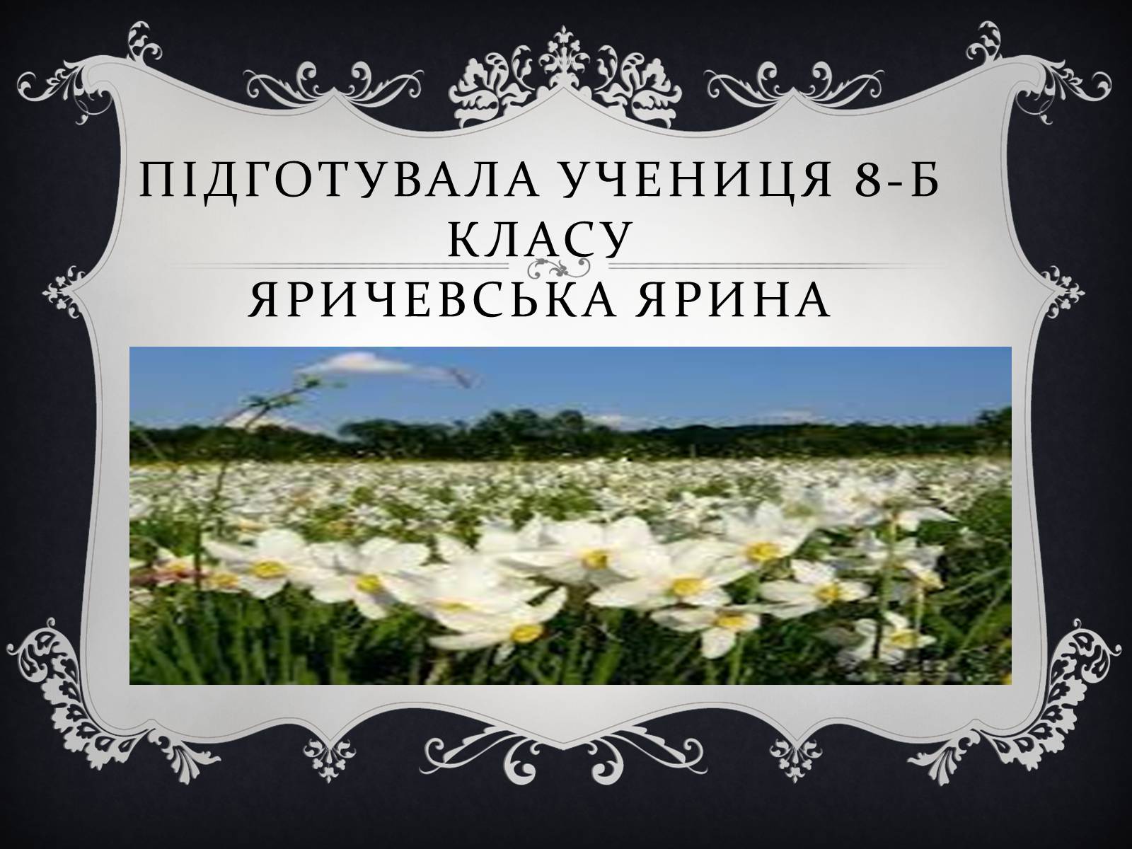 Презентація на тему «Асканія Нова» (варіант 9) - Слайд #29 Презентація на тему «Асканія Нова» (варіант 9) - Слайд #29