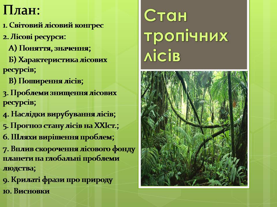 Презентація на тему «Стан тропічних лісів» - Слайд #1 Презентація на тему «Стан тропічних лісів» - Слайд #1