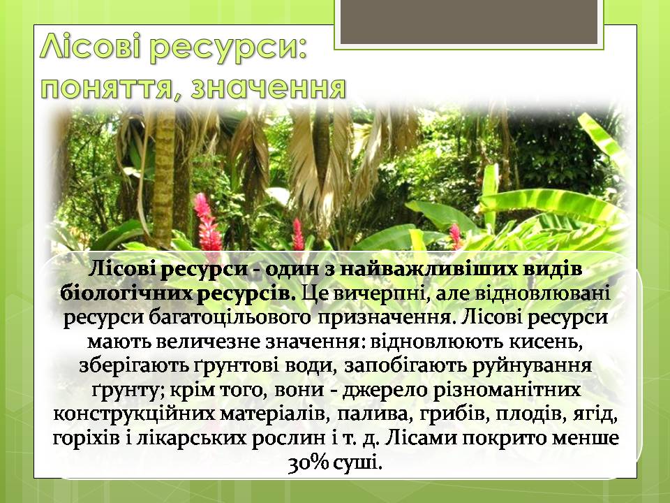 Презентація на тему «Стан тропічних лісів» - Слайд #3 Презентація на тему «Стан тропічних лісів» - Слайд #3