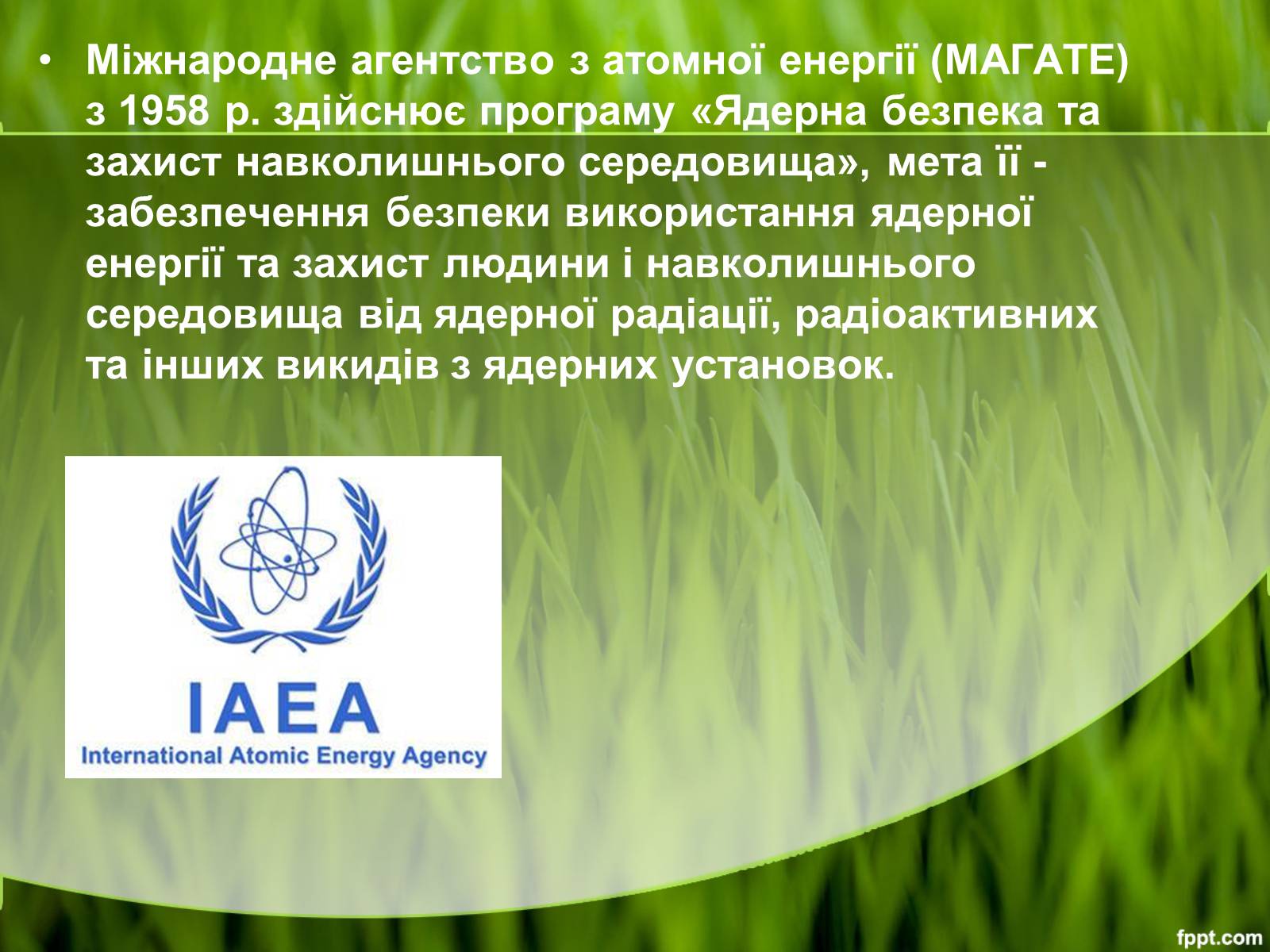 Презентація на тему «Міжнародні організації та охорона навколишнього середовища» - Слайд #11 Презентація на тему «Міжнародні організації та охорона навколишнього середовища» - Слайд #11