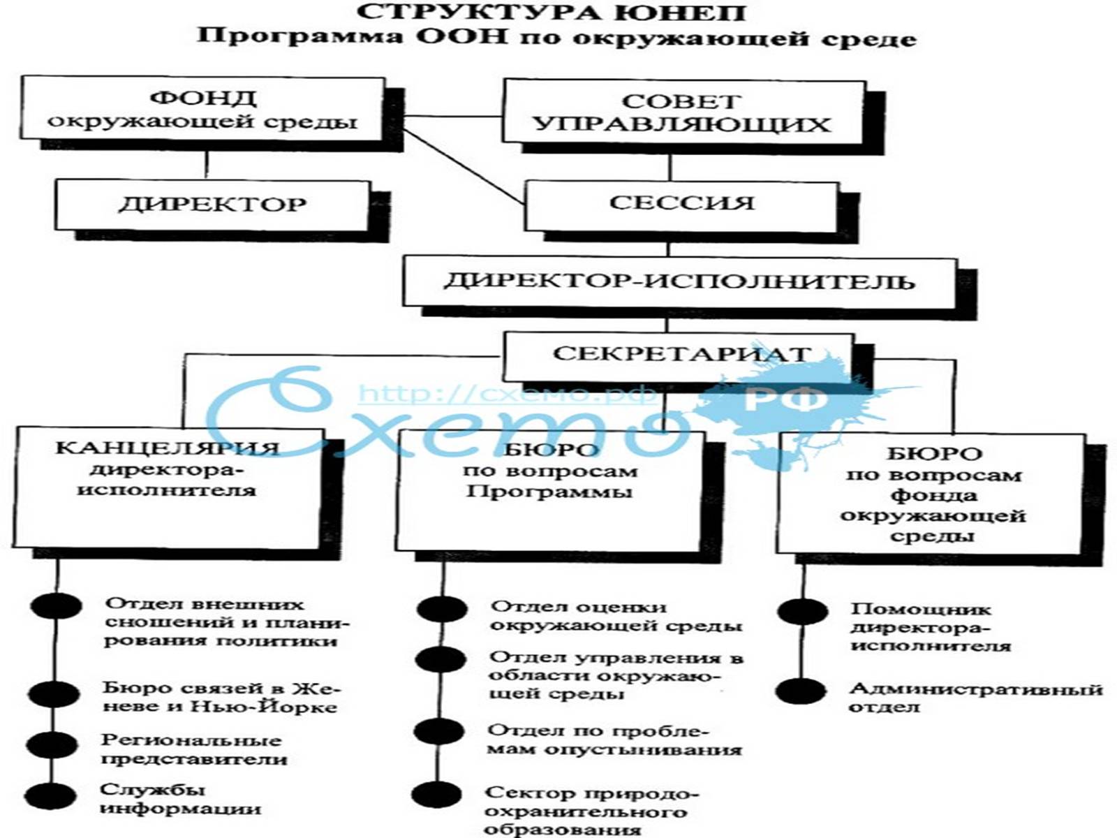 Презентація на тему «Міжнародні організації та охорона навколишнього середовища» - Слайд #13 Презентація на тему «Міжнародні організації та охорона навколишнього середовища» - Слайд #13