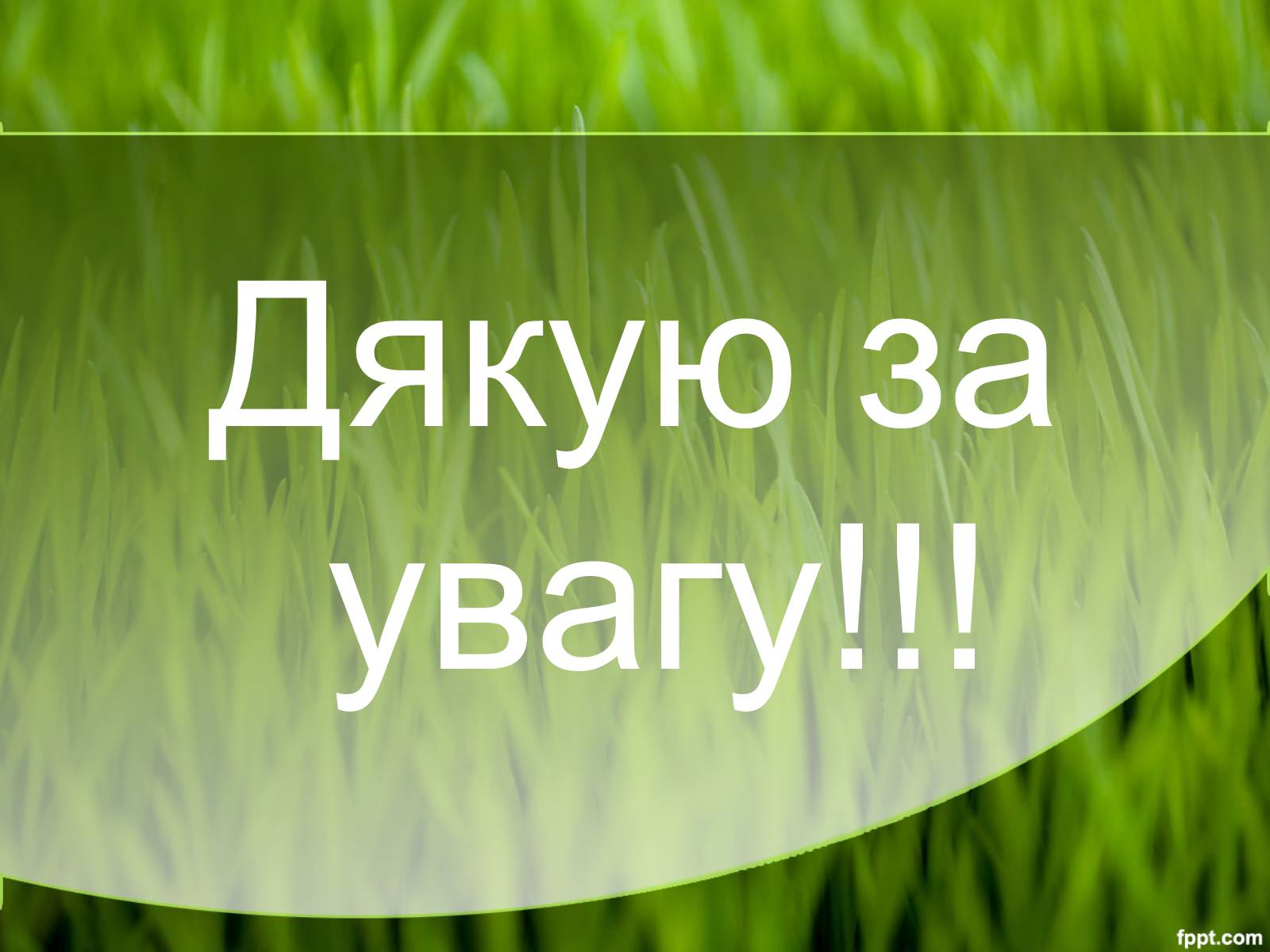 Презентація на тему «Міжнародні організації та охорона навколишнього середовища» - Слайд #21 Презентація на тему «Міжнародні організації та охорона навколишнього середовища» - Слайд #21