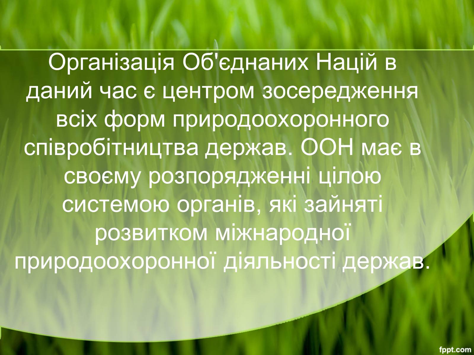 Презентація на тему «Міжнародні організації та охорона навколишнього середовища» - Слайд #3 Презентація на тему «Міжнародні організації та охорона навколишнього середовища» - Слайд #3