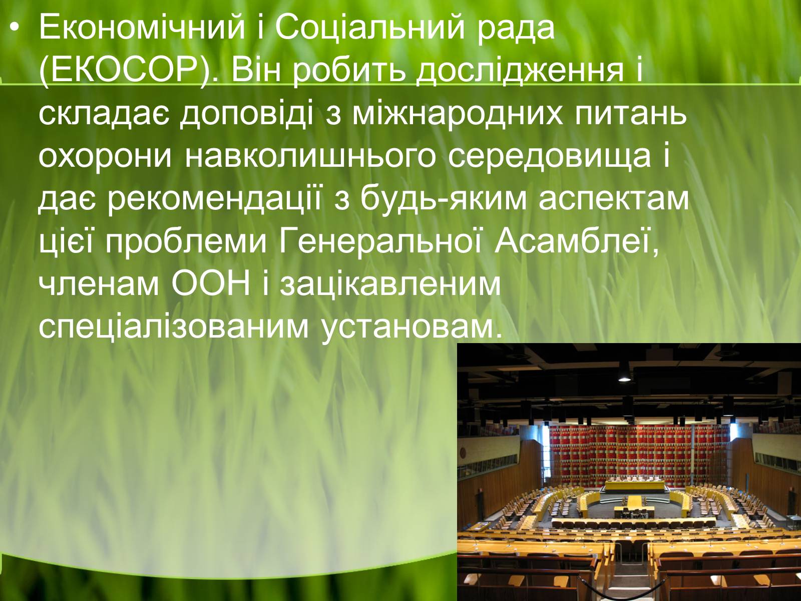 Презентація на тему «Міжнародні організації та охорона навколишнього середовища» - Слайд #5 Презентація на тему «Міжнародні організації та охорона навколишнього середовища» - Слайд #5