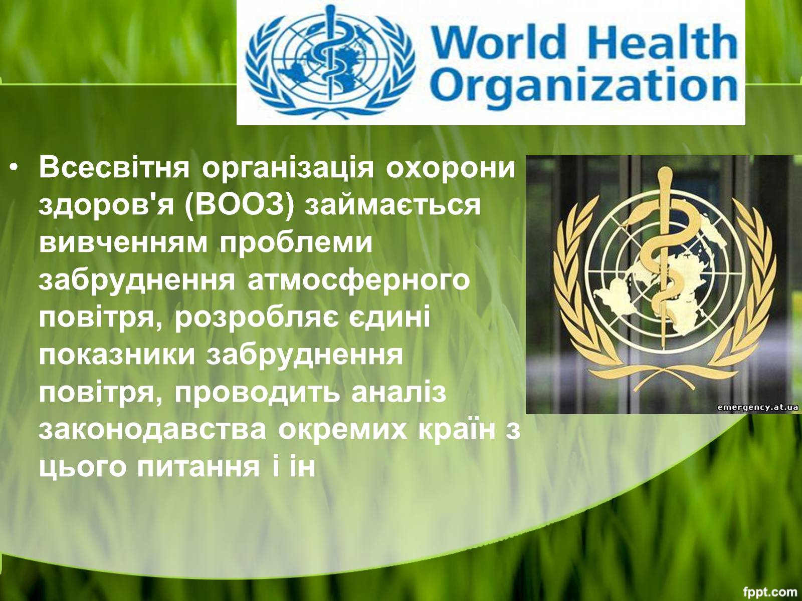 Презентація на тему «Міжнародні організації та охорона навколишнього середовища» - Слайд #7 Презентація на тему «Міжнародні організації та охорона навколишнього середовища» - Слайд #7
