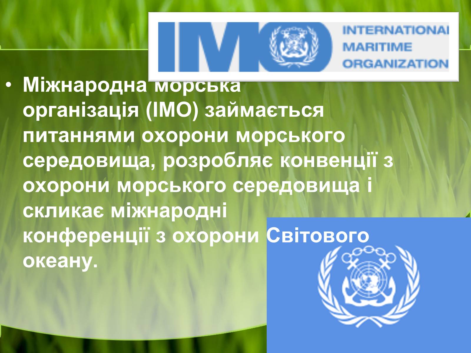 Презентація на тему «Міжнародні організації та охорона навколишнього середовища» - Слайд #8 Презентація на тему «Міжнародні організації та охорона навколишнього середовища» - Слайд #8