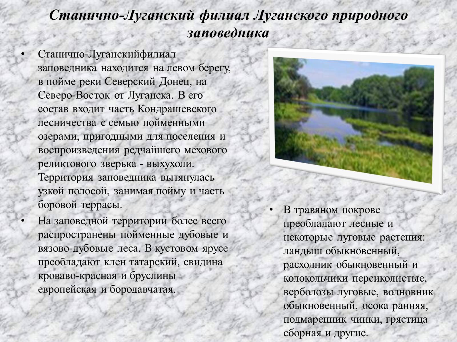 Презентація на тему «Природно-заповедные территории Луганской области» - Слайд #4 Презентація на тему «Природно-заповедные территории Луганской области» - Слайд #4