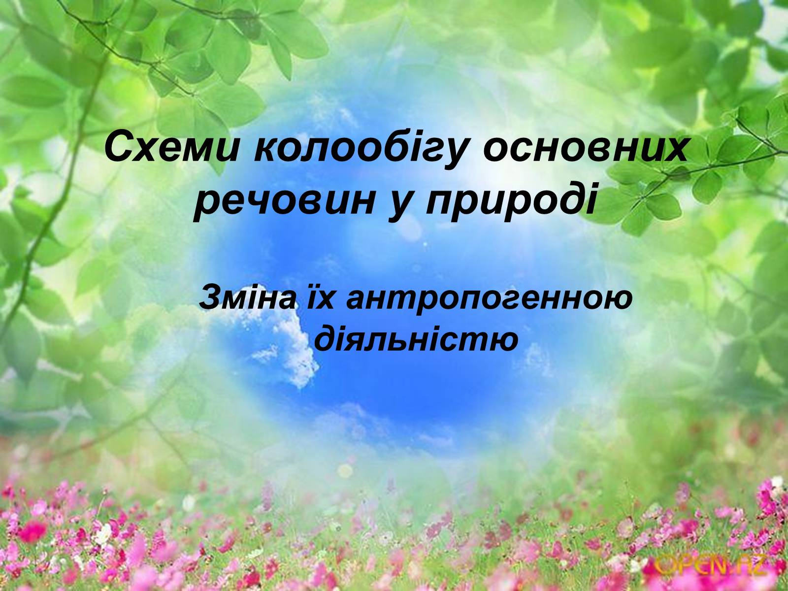 Презентація на тему «Схеми колообігу основних речовин у природі» - Слайд #1 Презентація на тему «Схеми колообігу основних речовин у природі» - Слайд #1