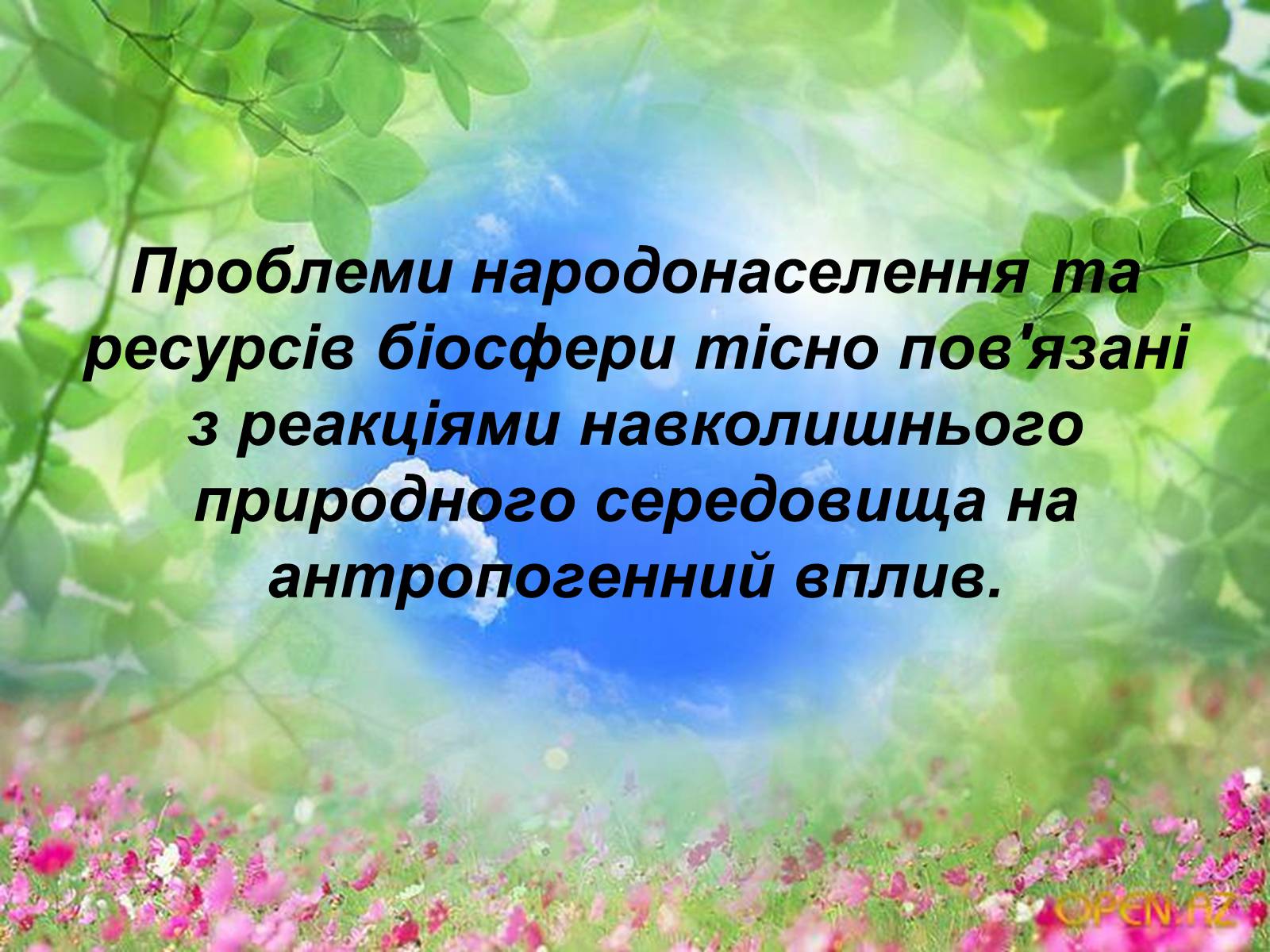 Презентація на тему «Схеми колообігу основних речовин у природі» - Слайд #11 Презентація на тему «Схеми колообігу основних речовин у природі» - Слайд #11