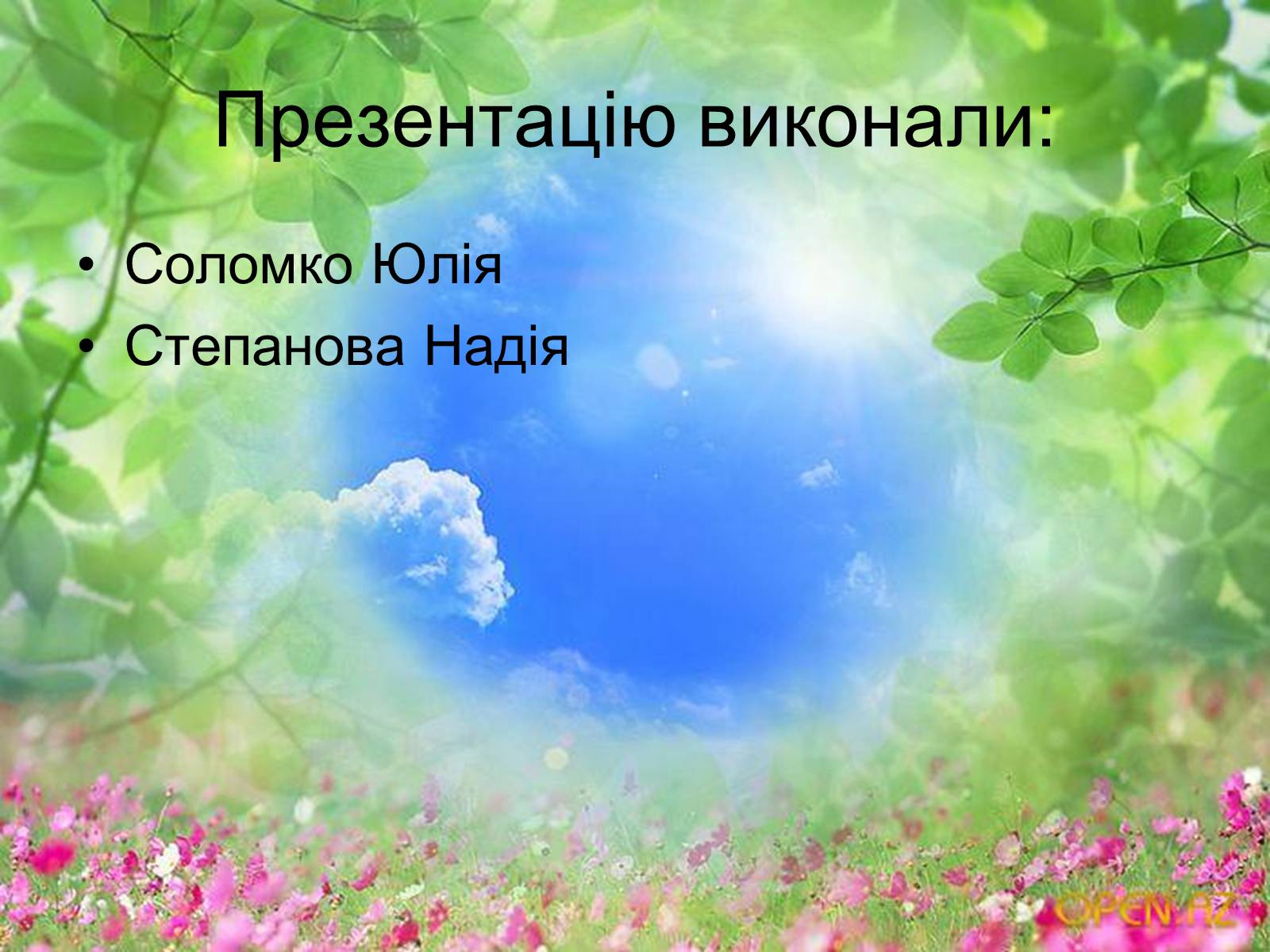 Презентація на тему «Схеми колообігу основних речовин у природі» - Слайд #13 Презентація на тему «Схеми колообігу основних речовин у природі» - Слайд #13