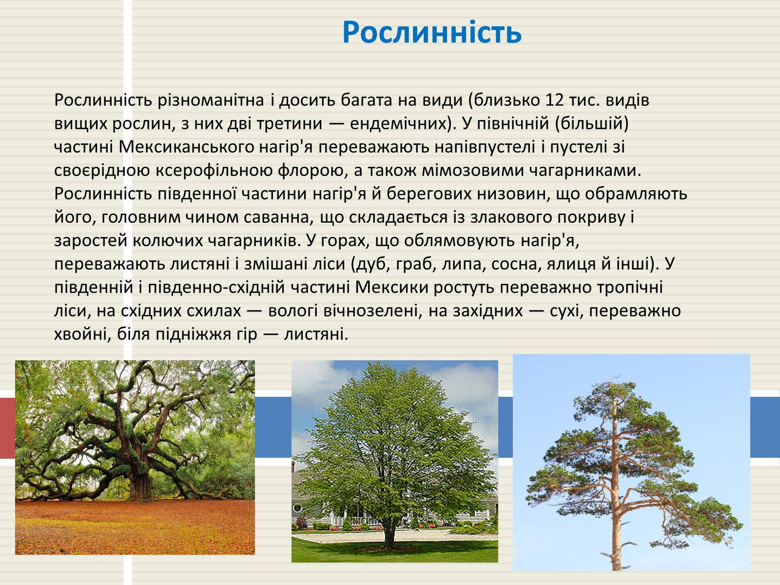 Презентація на тему «Мексика» (варіант 2) - Слайд #9 Презентація на тему «Мексика» (варіант 2) - Слайд #9