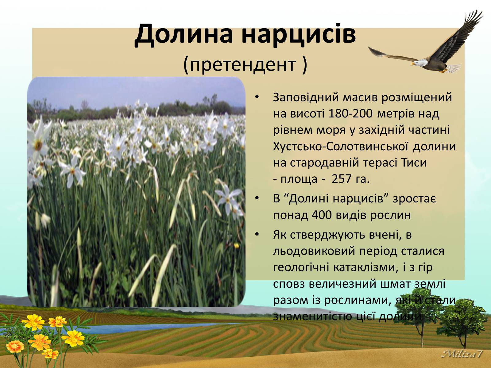 Презентація на тему «Чудеса України» - Слайд #10 Презентація на тему «Чудеса України» - Слайд #10