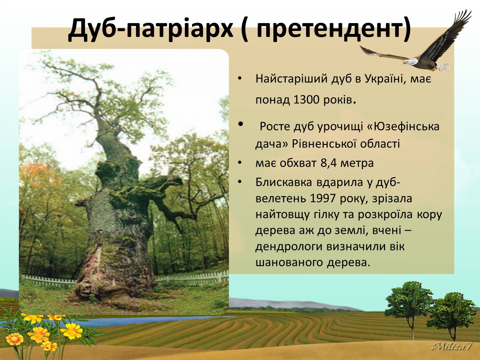 Презентація на тему «Чудеса України» - Слайд #11 Презентація на тему «Чудеса України» - Слайд #11