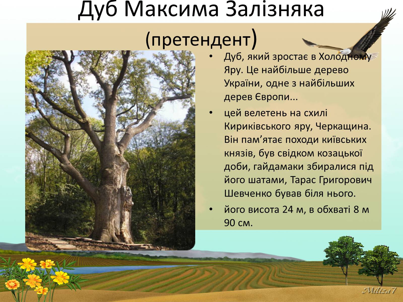 Презентація на тему «Чудеса України» - Слайд #12 Презентація на тему «Чудеса України» - Слайд #12