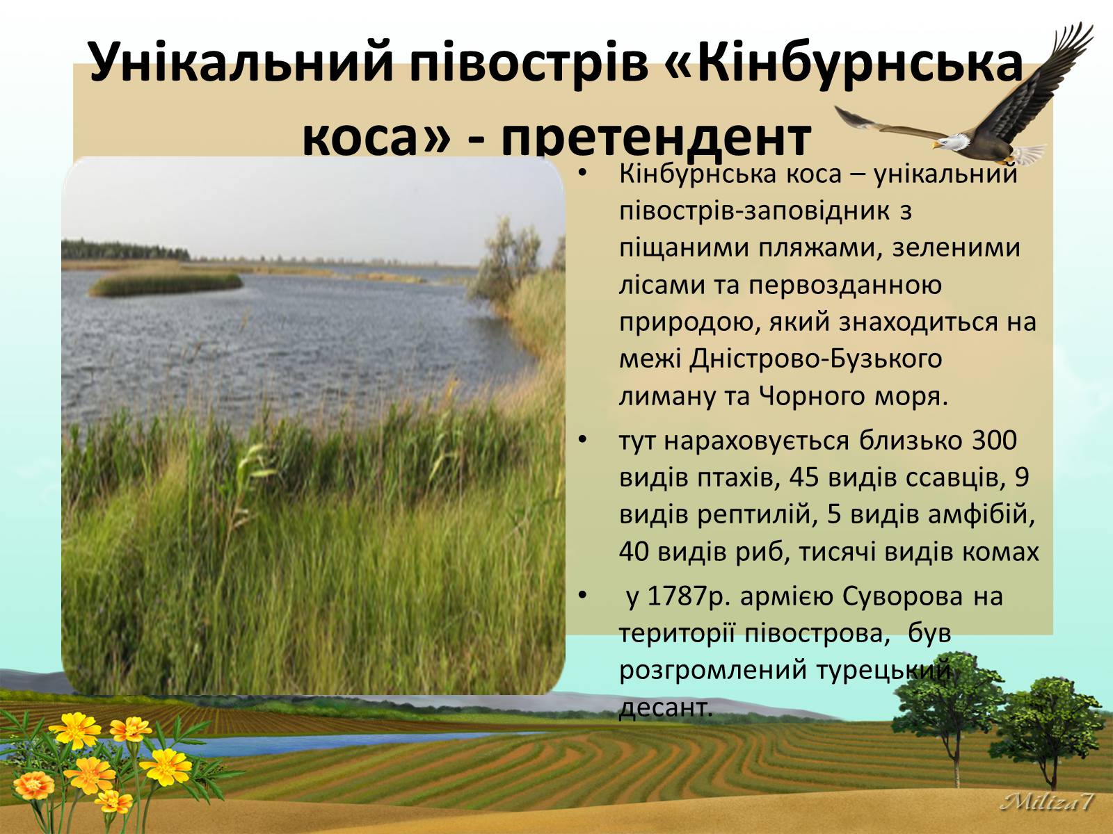 Презентація на тему «Чудеса України» - Слайд #20 Презентація на тему «Чудеса України» - Слайд #20