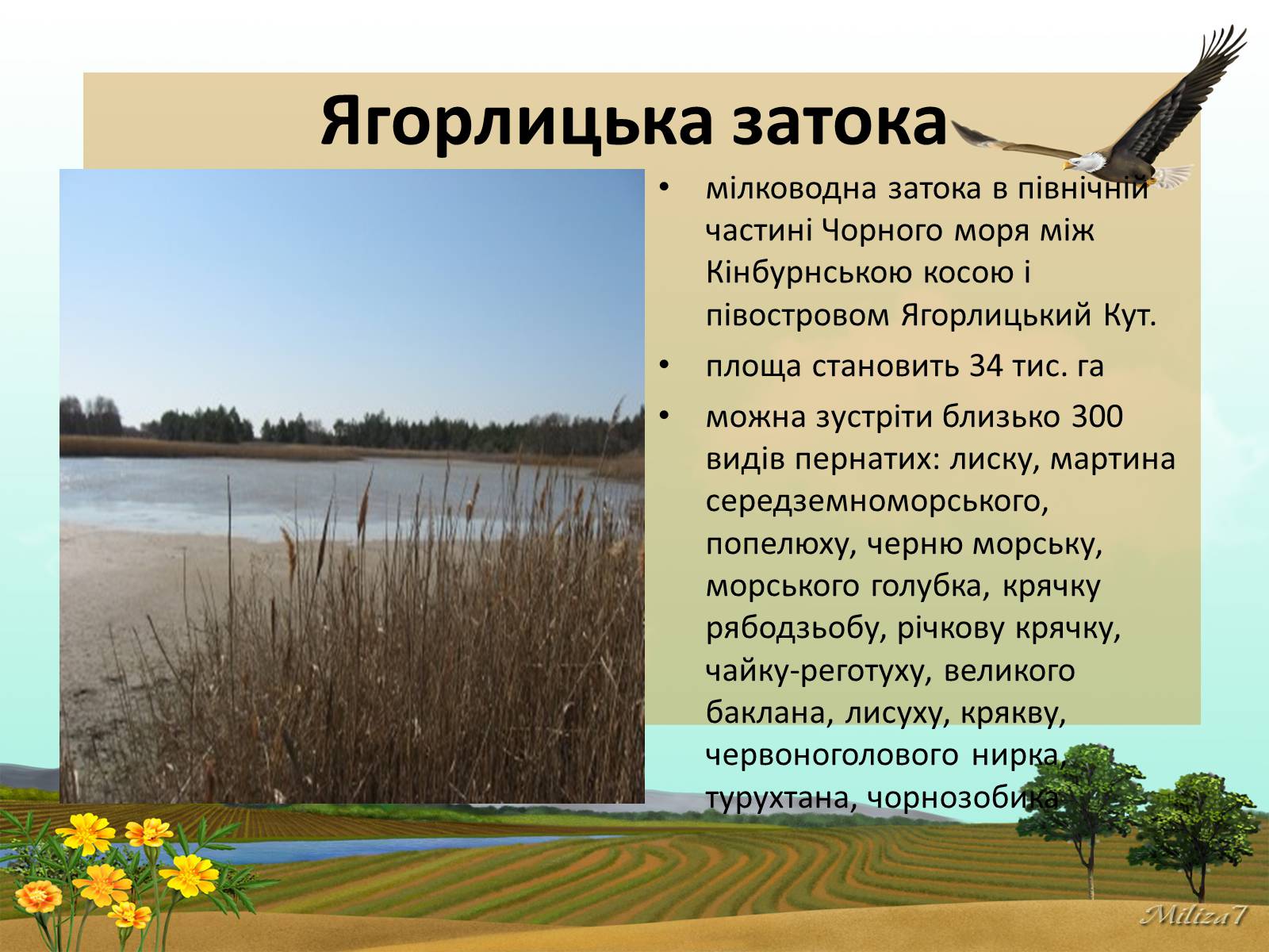 Презентація на тему «Чудеса України» - Слайд #23 Презентація на тему «Чудеса України» - Слайд #23