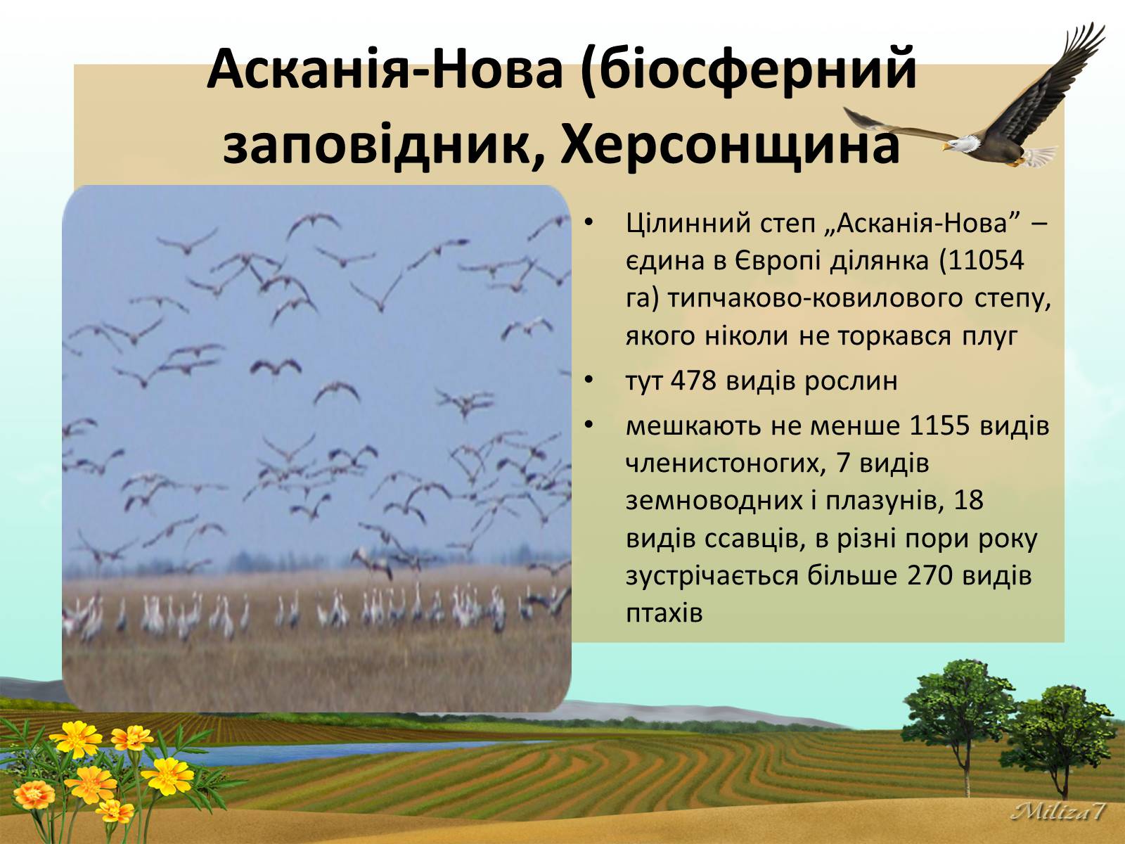 Презентація на тему «Чудеса України» - Слайд #3 Презентація на тему «Чудеса України» - Слайд #3