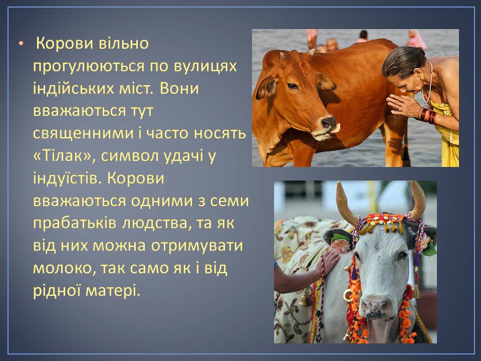 Презентація на тему «Індія» (варіант 28) - Слайд #14 Презентація на тему «Індія» (варіант 28) - Слайд #14