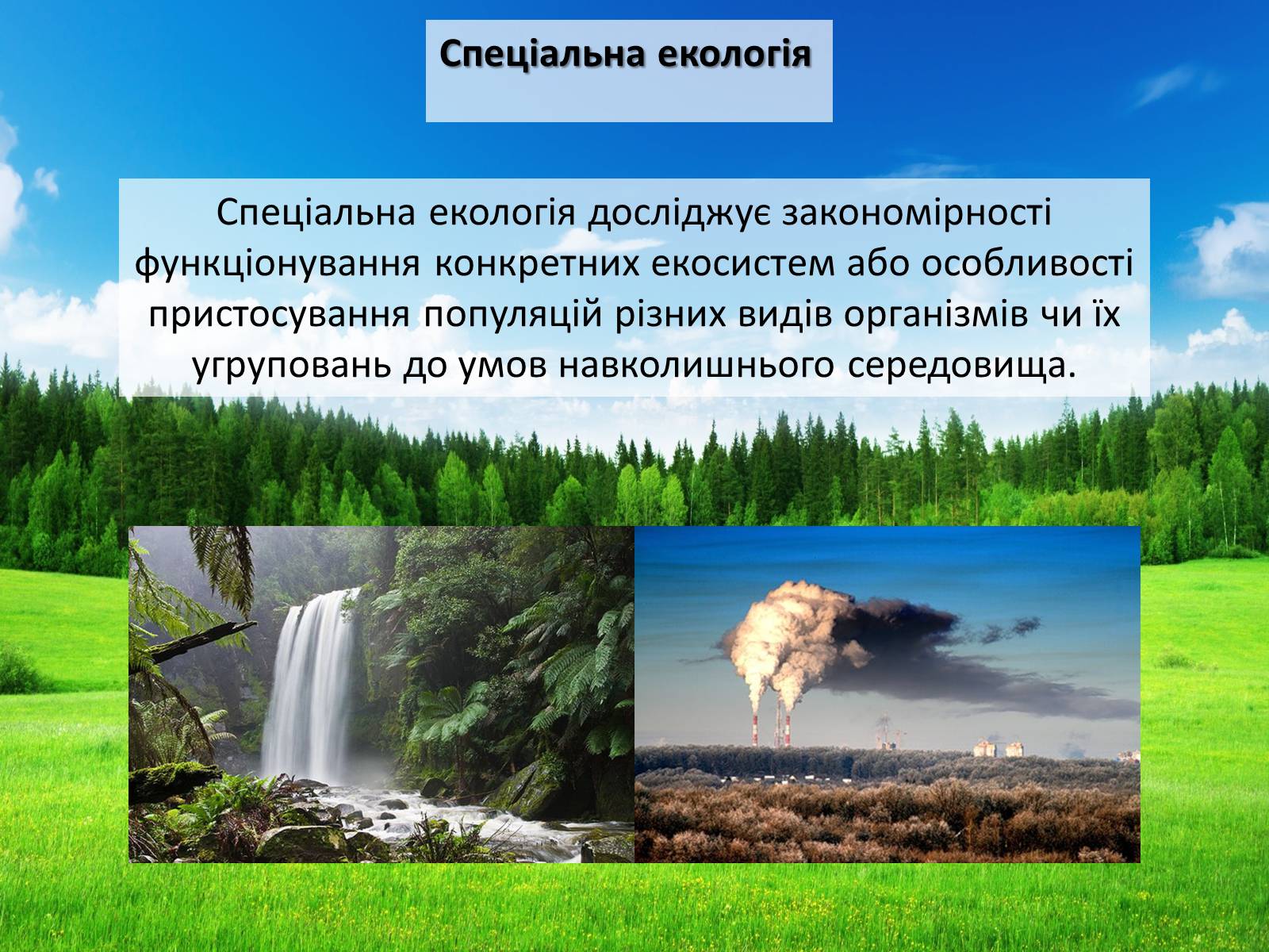 Презентація на тему «Структура сучасної екології та її місце в системі наук» (варіант 2) - Слайд #10 Презентація на тему «Структура сучасної екології та її місце в системі наук» (варіант 2) - Слайд #10