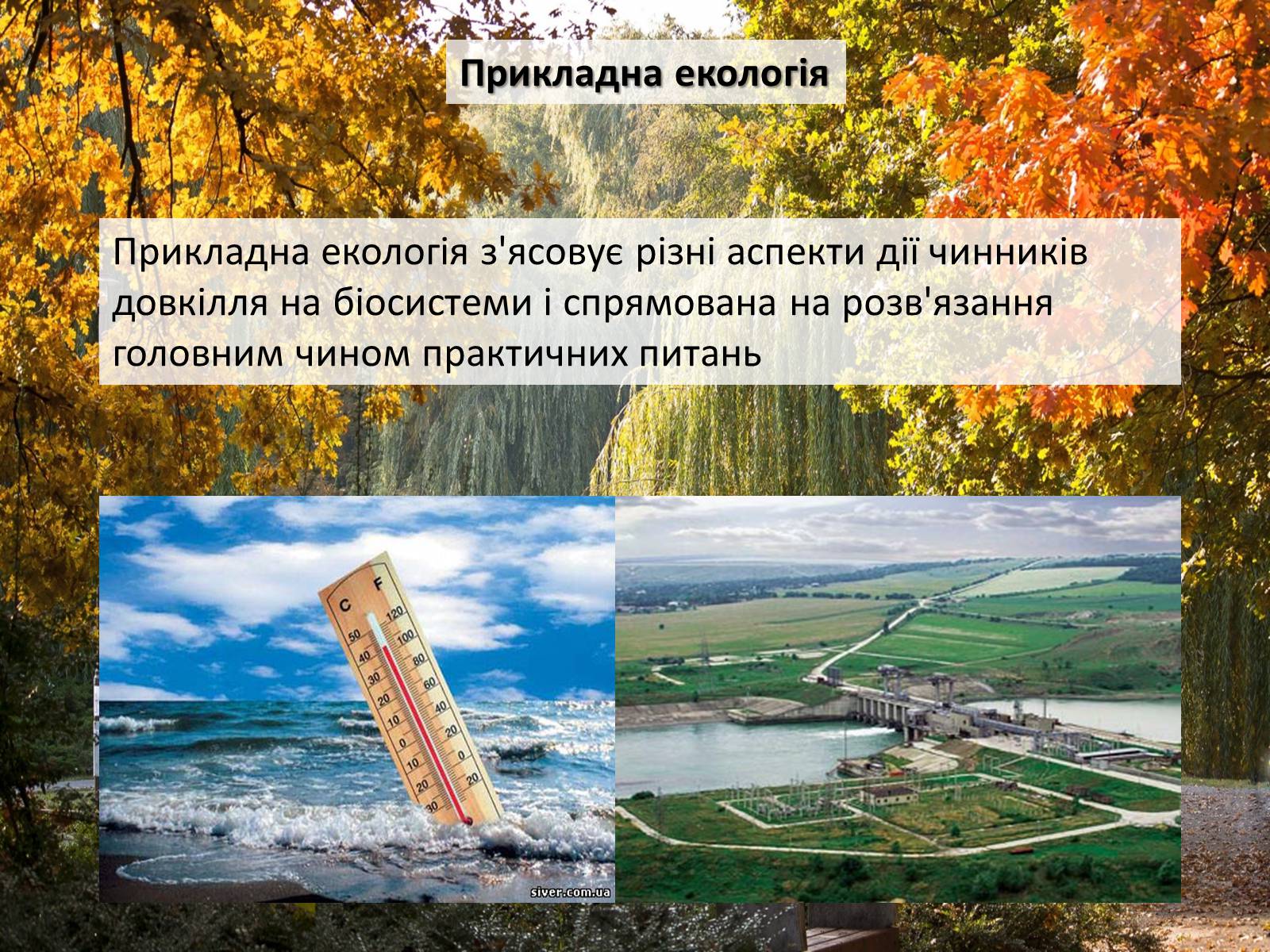 Презентація на тему «Структура сучасної екології та її місце в системі наук» (варіант 2) - Слайд #11 Презентація на тему «Структура сучасної екології та її місце в системі наук» (варіант 2) - Слайд #11