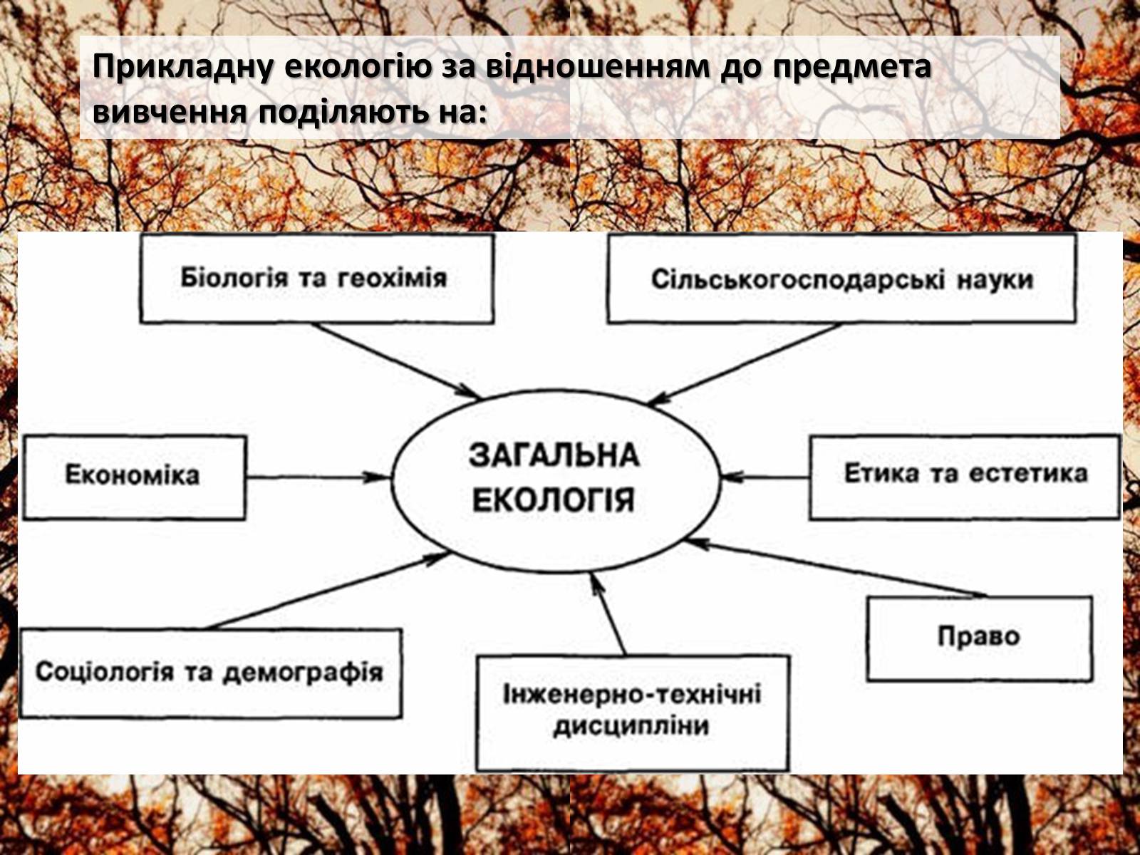 Презентація на тему «Структура сучасної екології та її місце в системі наук» (варіант 2) - Слайд #12 Презентація на тему «Структура сучасної екології та її місце в системі наук» (варіант 2) - Слайд #12