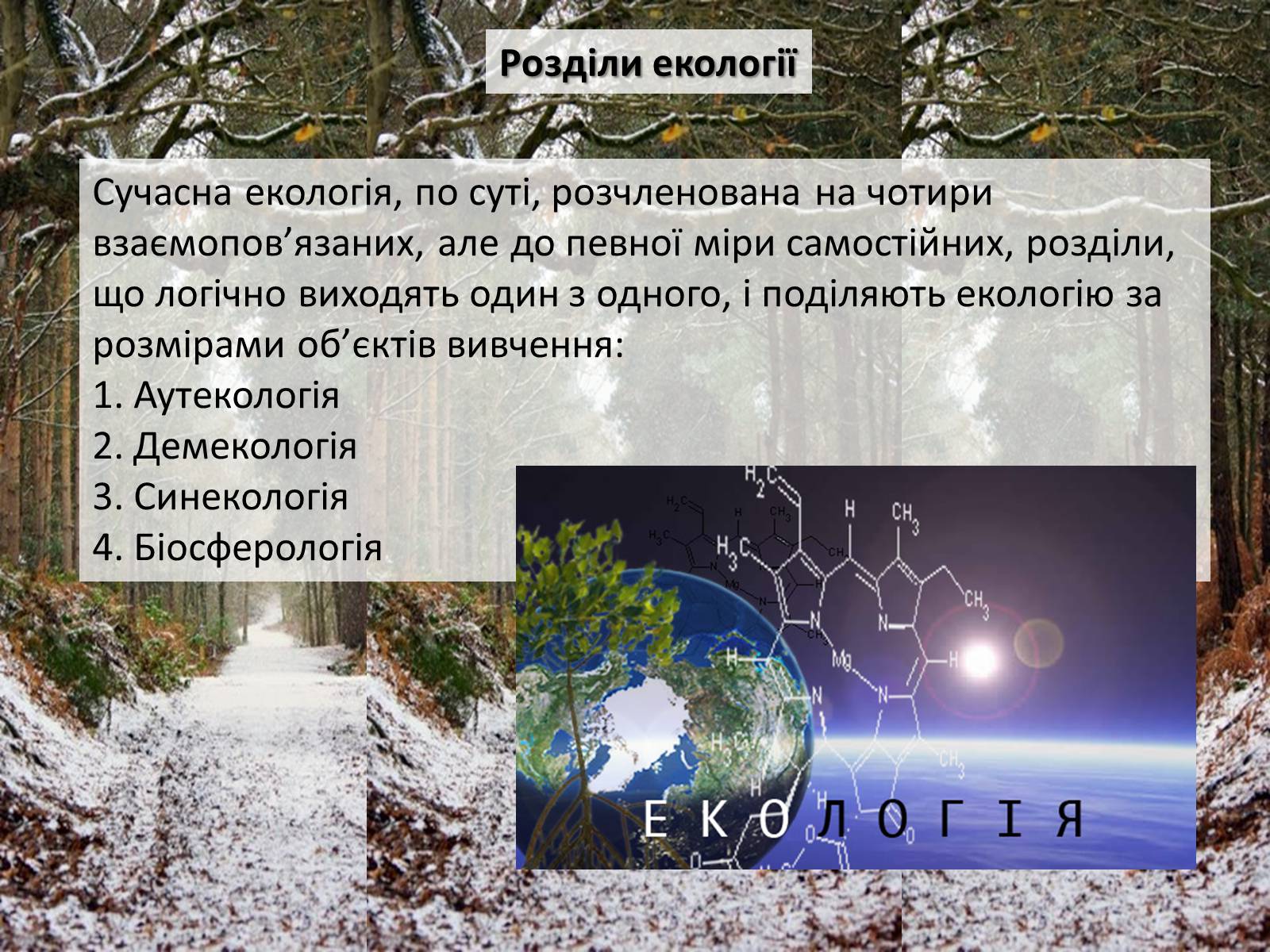 Презентація на тему «Структура сучасної екології та її місце в системі наук» (варіант 2) - Слайд #13 Презентація на тему «Структура сучасної екології та її місце в системі наук» (варіант 2) - Слайд #13