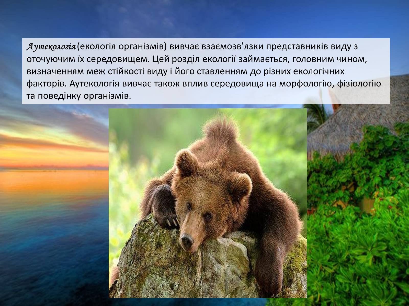 Презентація на тему «Структура сучасної екології та її місце в системі наук» (варіант 2) - Слайд #14 Презентація на тему «Структура сучасної екології та її місце в системі наук» (варіант 2) - Слайд #14