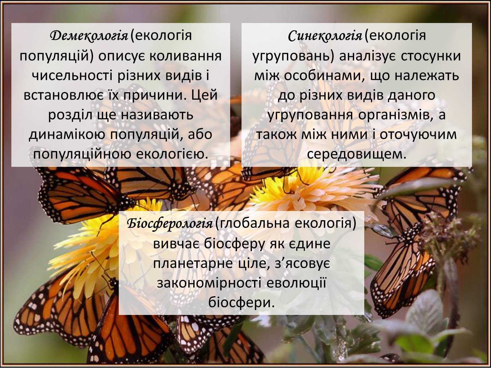 Презентація на тему «Структура сучасної екології та її місце в системі наук» (варіант 2) - Слайд #15 Презентація на тему «Структура сучасної екології та її місце в системі наук» (варіант 2) - Слайд #15