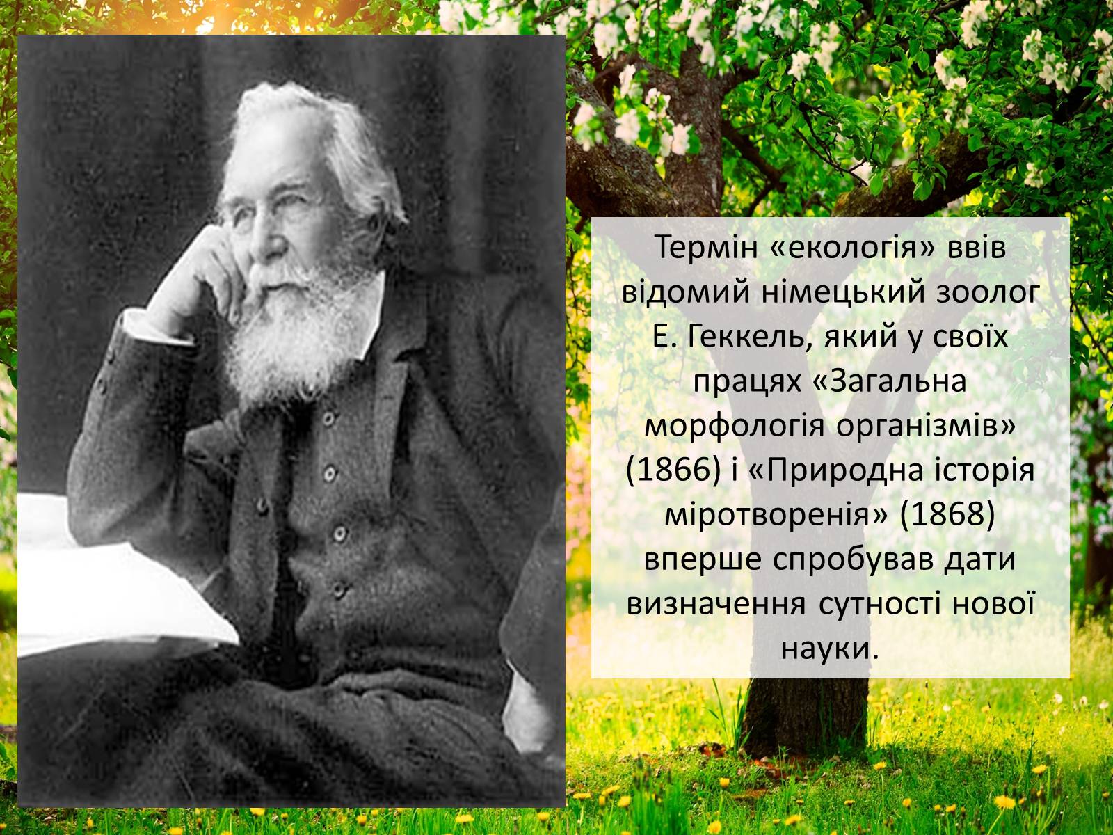 Презентація на тему «Структура сучасної екології та її місце в системі наук» (варіант 2) - Слайд #4 Презентація на тему «Структура сучасної екології та її місце в системі наук» (варіант 2) - Слайд #4
