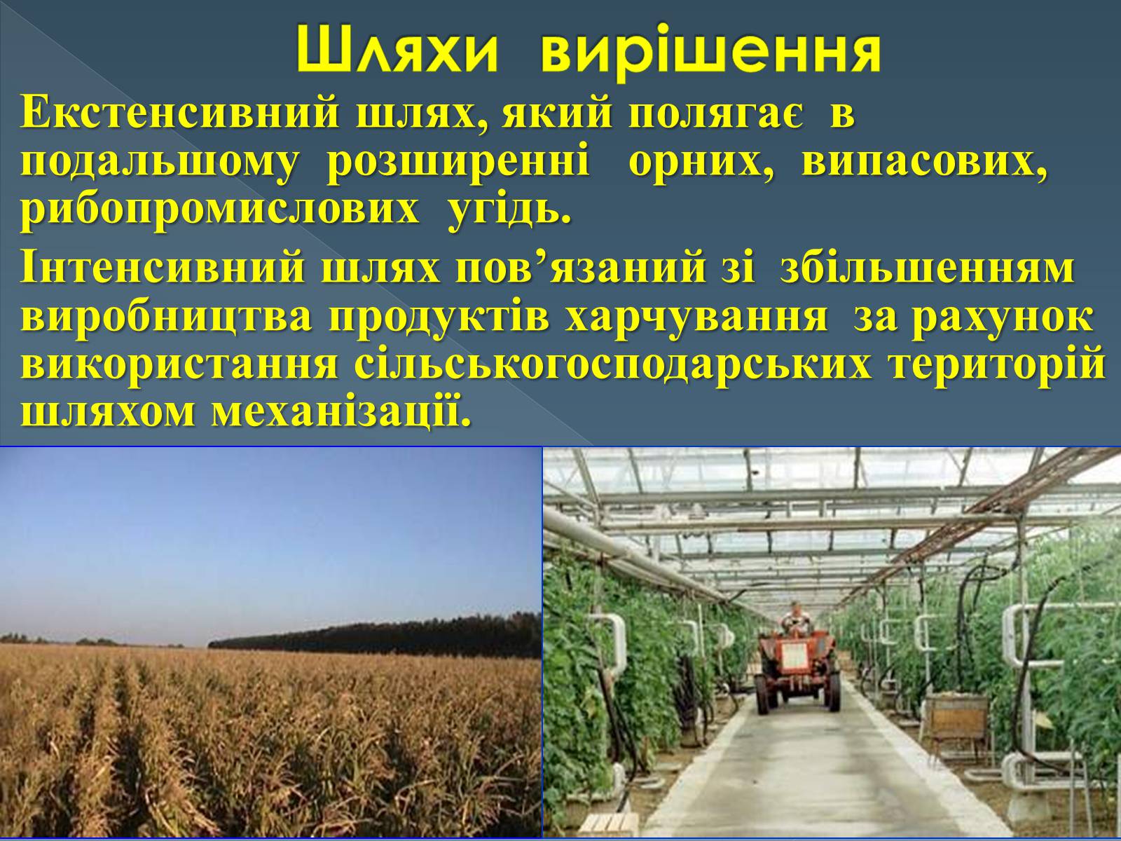 Презентація на тему «Продовольча проблема людства» - Слайд #11 Презентація на тему «Продовольча проблема людства» - Слайд #11