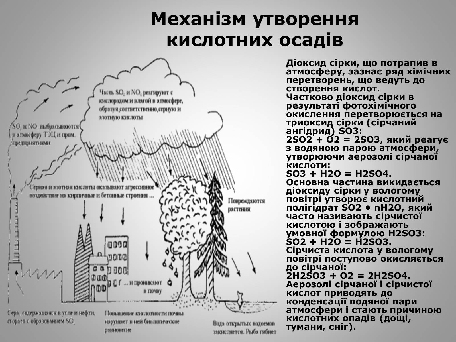 Презентація на тему «Причини виникнення та екологічні наслідки кислотних дощів» - Слайд #12 Презентація на тему «Причини виникнення та екологічні наслідки кислотних дощів» - Слайд #12