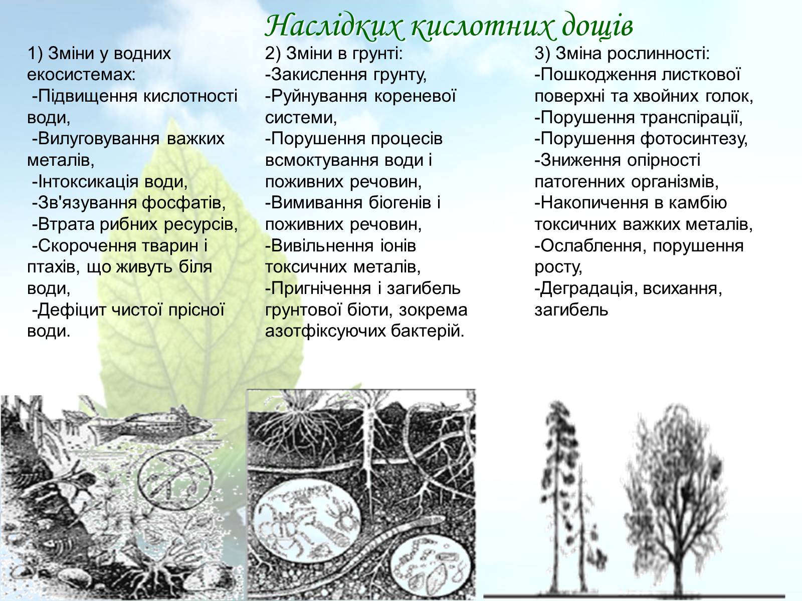 Презентація на тему «Причини виникнення та екологічні наслідки кислотних дощів» - Слайд #16 Презентація на тему «Причини виникнення та екологічні наслідки кислотних дощів» - Слайд #16
