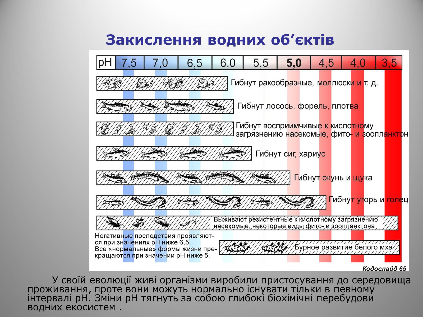 Презентація на тему «Причини виникнення та екологічні наслідки кислотних дощів» - Слайд #24 Презентація на тему «Причини виникнення та екологічні наслідки кислотних дощів» - Слайд #24