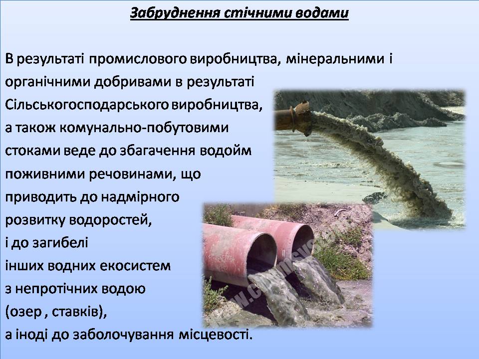 Презентація на тему «Забруднення гідросфери» (варіант 3) - Слайд #13 Презентація на тему «Забруднення гідросфери» (варіант 3) - Слайд #13