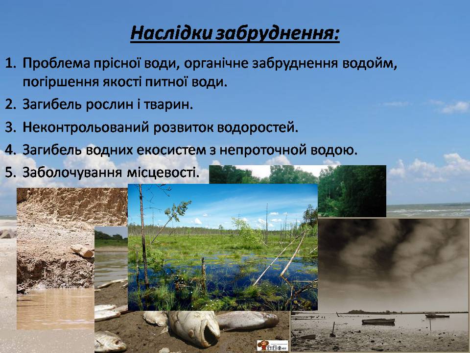 Презентація на тему «Забруднення гідросфери» (варіант 3) - Слайд #16 Презентація на тему «Забруднення гідросфери» (варіант 3) - Слайд #16