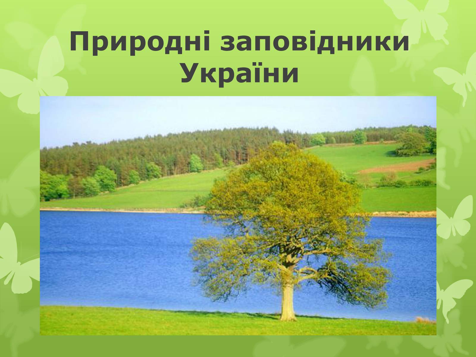 Презентація на тему «Природні заповідники України» (варіант 1) - Слайд #1