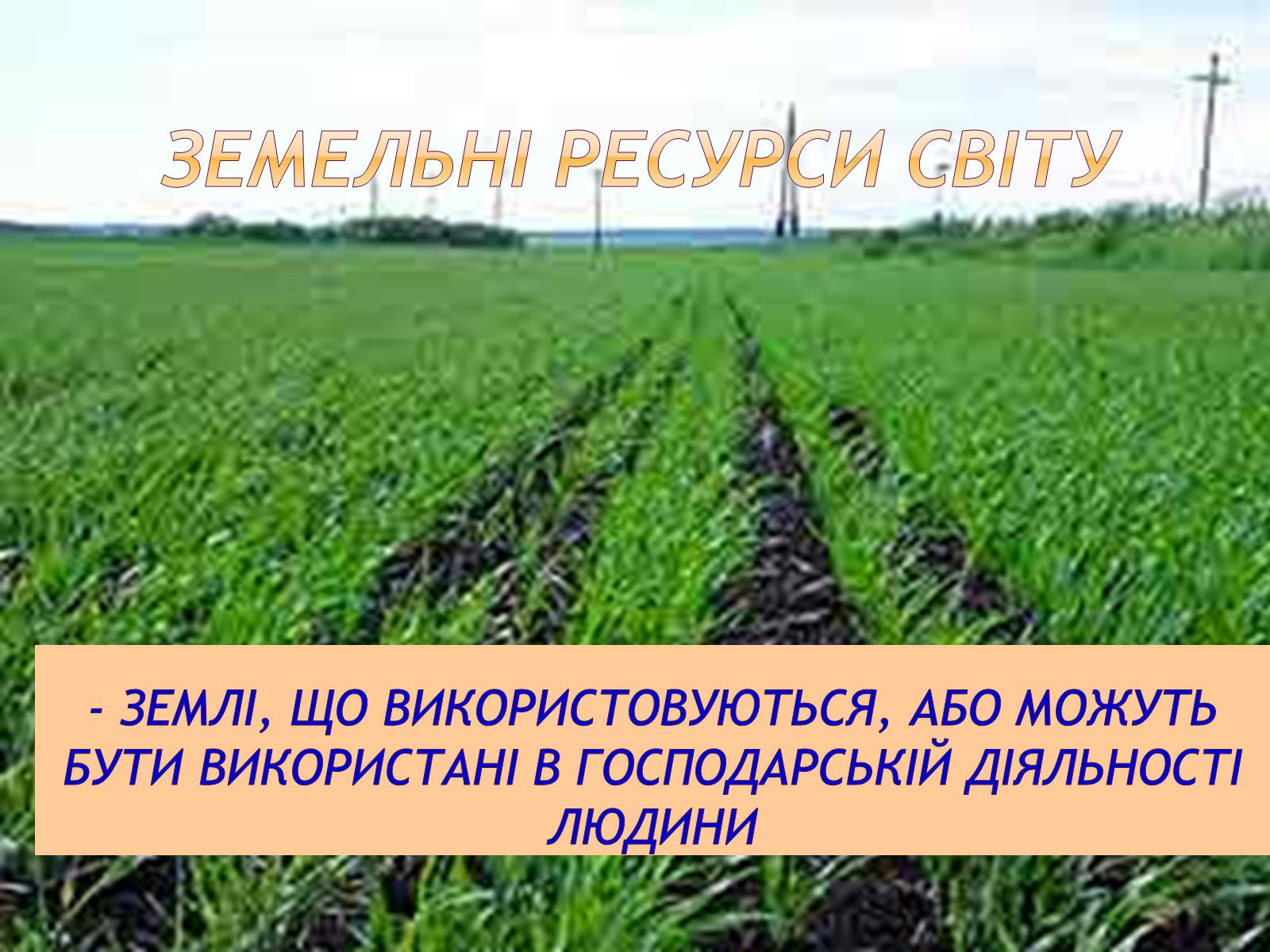 Презентація на тему «Природні ресурси» (варіант 1) - Слайд #22 Презентація на тему «Природні ресурси» (варіант 1) - Слайд #22