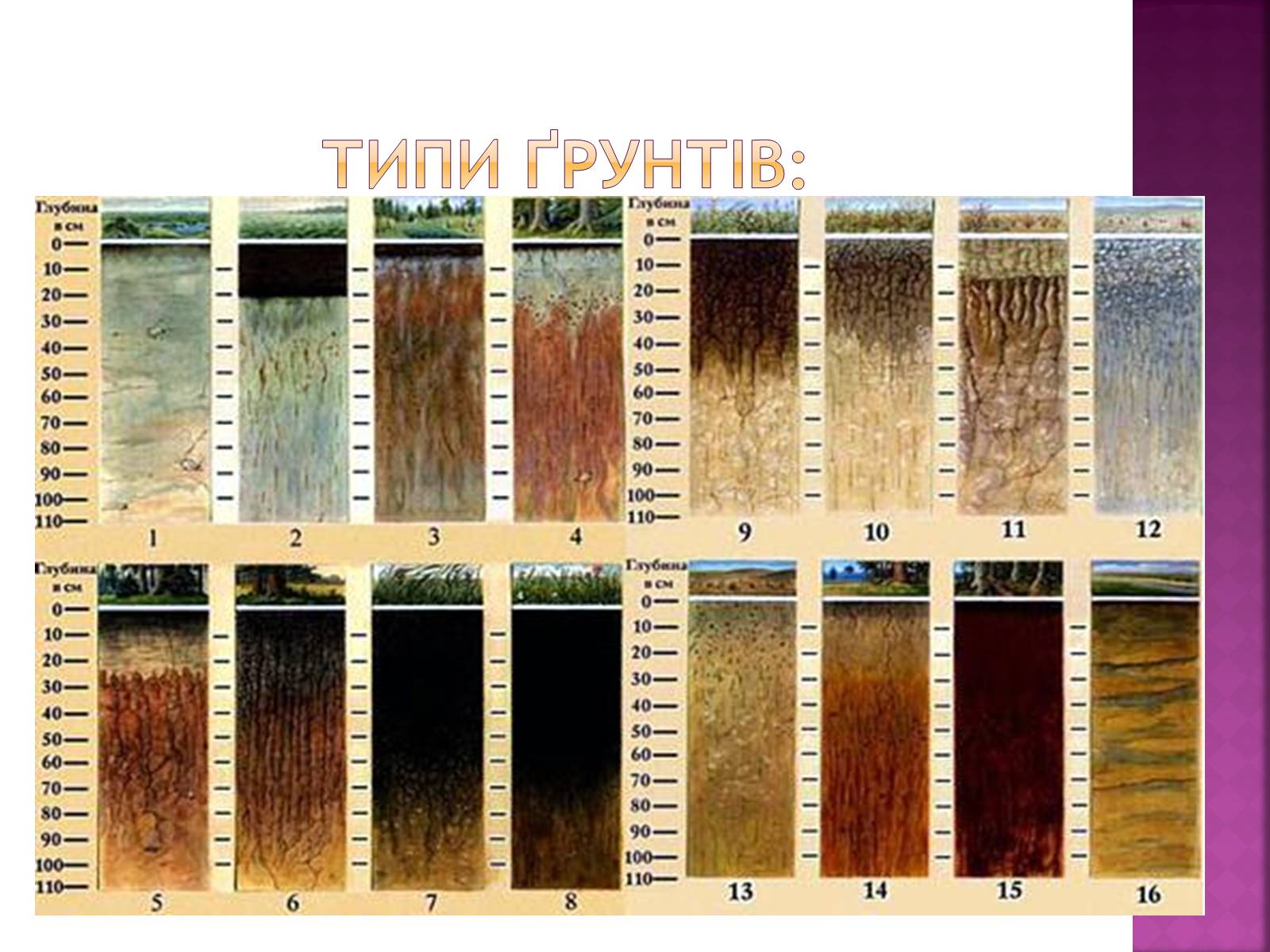 Презентація на тему «Природні ресурси» (варіант 1) - Слайд #25 Презентація на тему «Природні ресурси» (варіант 1) - Слайд #25