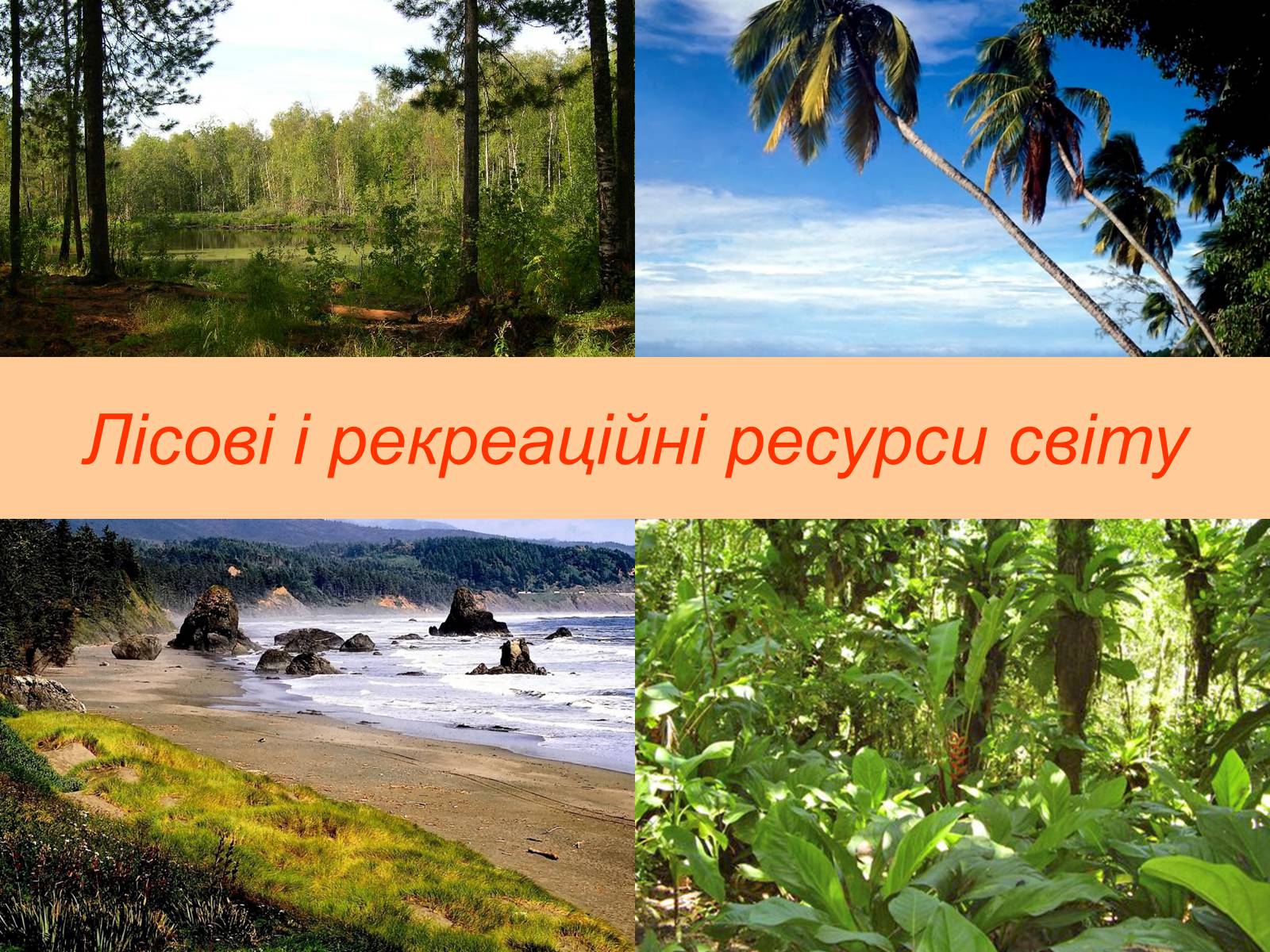 Презентація на тему «Природні ресурси» (варіант 1) - Слайд #30 Презентація на тему «Природні ресурси» (варіант 1) - Слайд #30