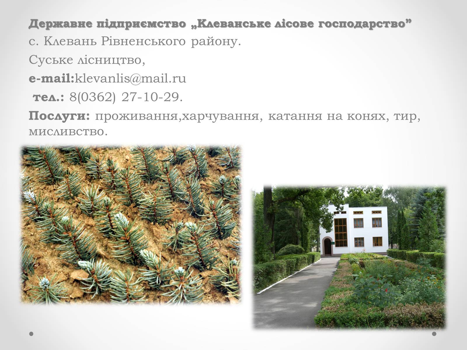 Презентація на тему «Рівненщина туристична» - Слайд #14 Презентація на тему «Рівненщина туристична» - Слайд #14
