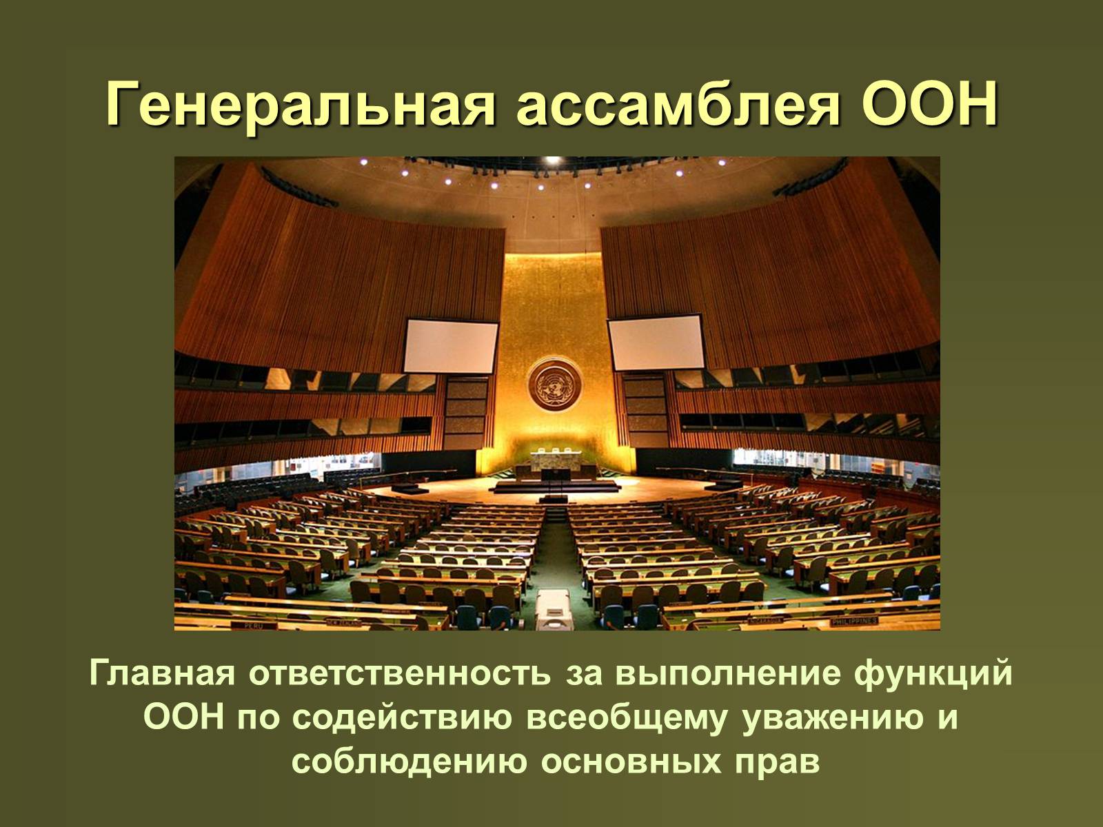 Презентація на тему «Международная защита прав человека» (варіант 2) - Слайд #13 Презентація на тему «Международная защита прав человека» (варіант 2) - Слайд #13