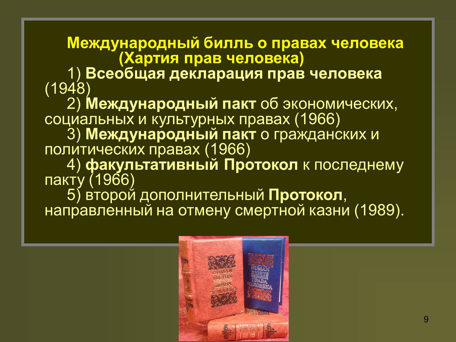 Презентація на тему «Международная защита прав человека» (варіант 2) - Слайд #9 Презентація на тему «Международная защита прав человека» (варіант 2) - Слайд #9