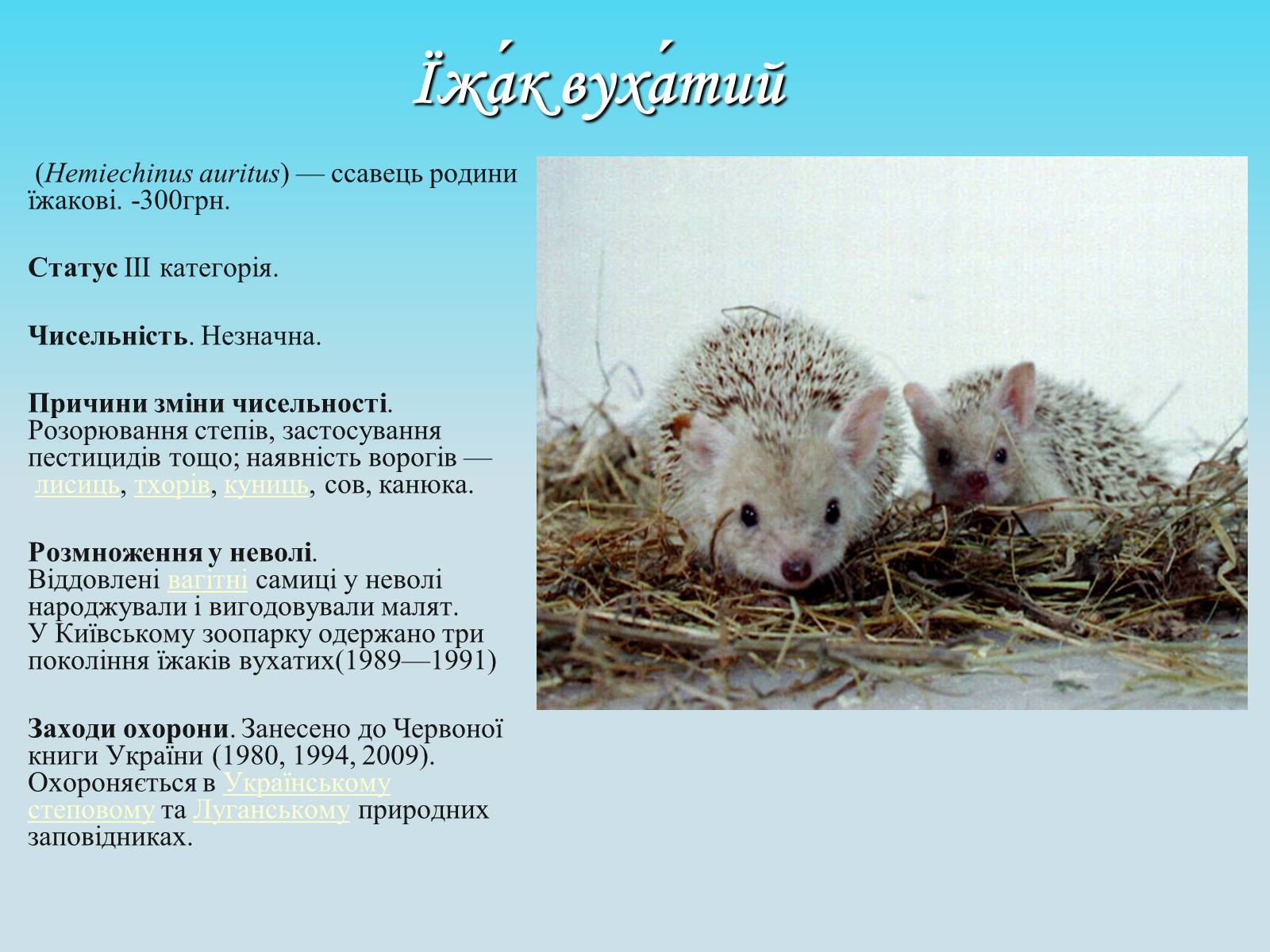 Презентація на тему «Червона книга» (варіант 4) - Слайд #4 Презентація на тему «Червона книга» (варіант 4) - Слайд #4