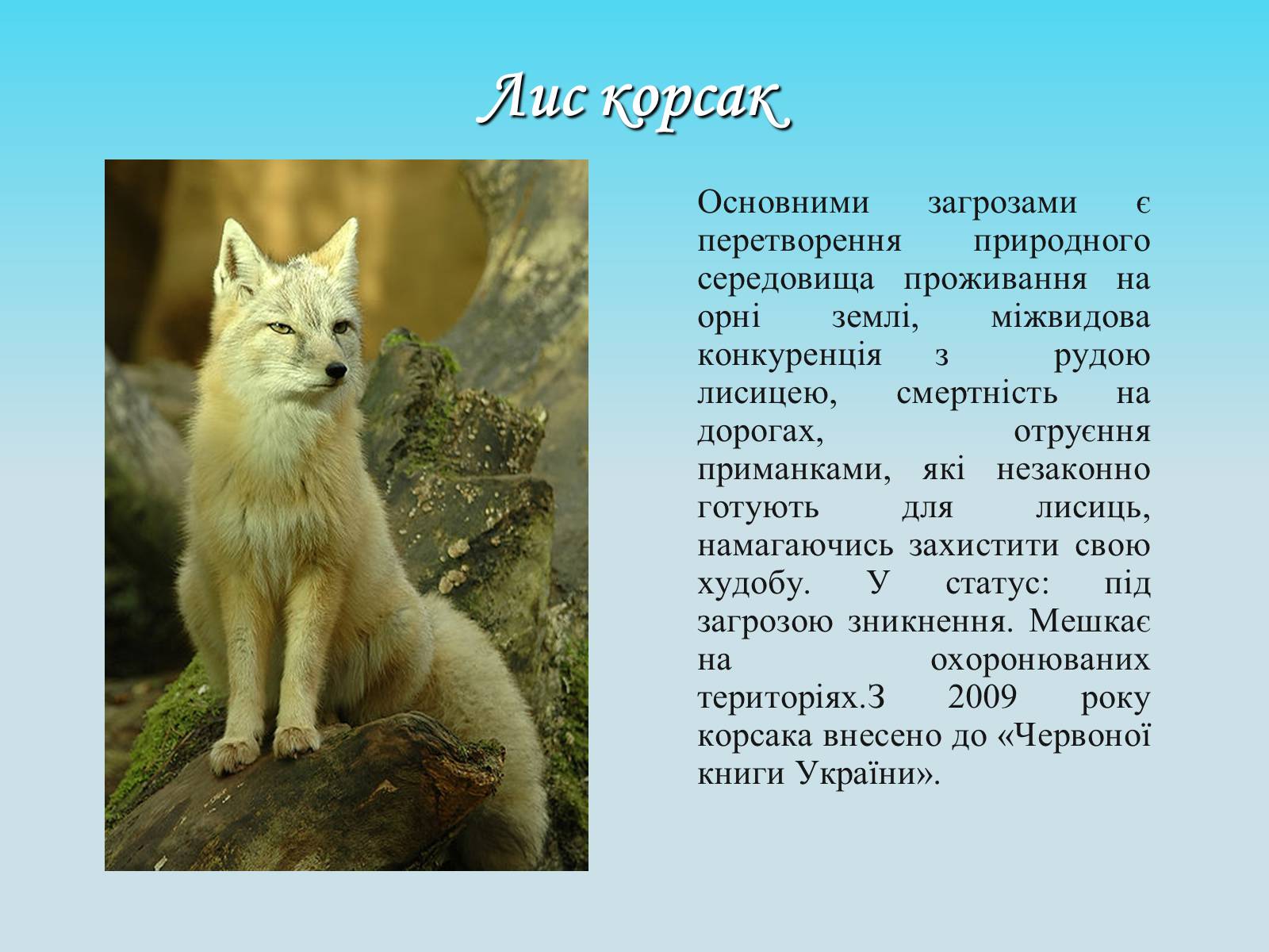 Презентація на тему «Червона книга» (варіант 4) - Слайд #6 Презентація на тему «Червона книга» (варіант 4) - Слайд #6