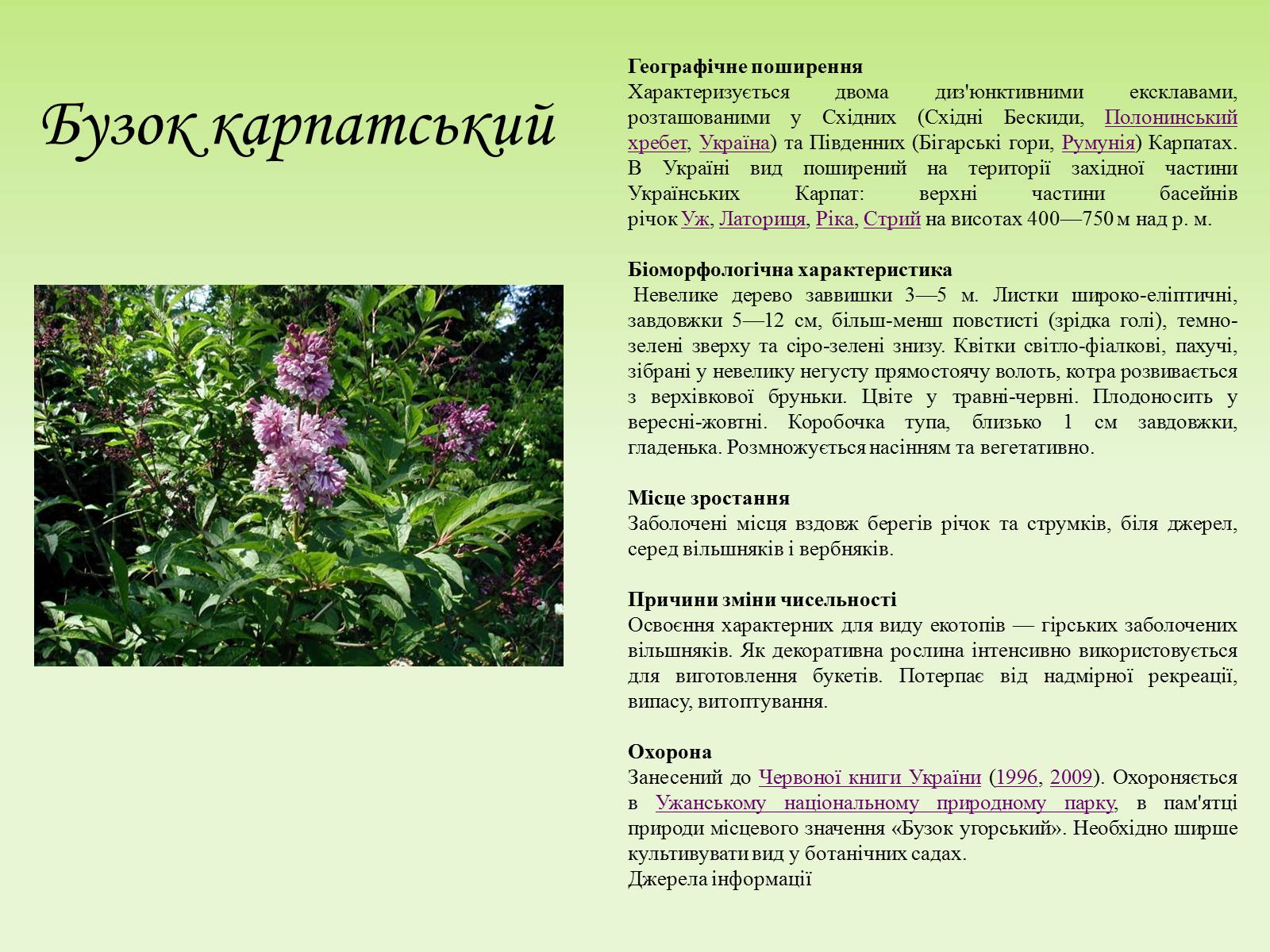 Презентація на тему «Червона книга» (варіант 4) - Слайд #8 Презентація на тему «Червона книга» (варіант 4) - Слайд #8