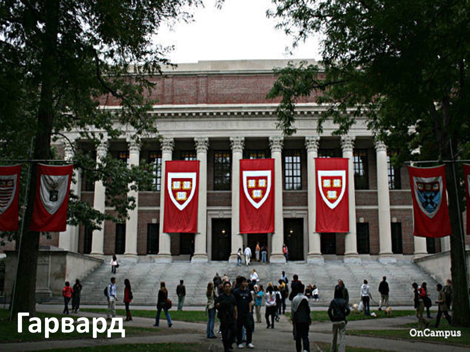 Презентація на тему «Культура США» - Слайд #31 Презентація на тему «Культура США» - Слайд #31