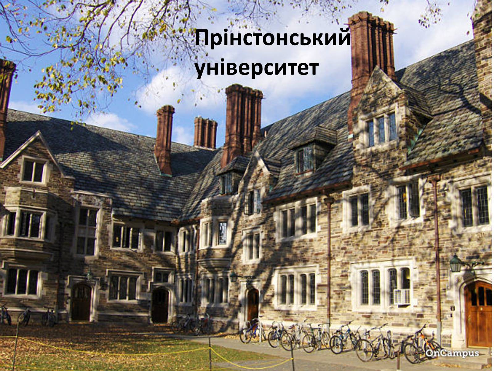 Презентація на тему «Культура США» - Слайд #32 Презентація на тему «Культура США» - Слайд #32