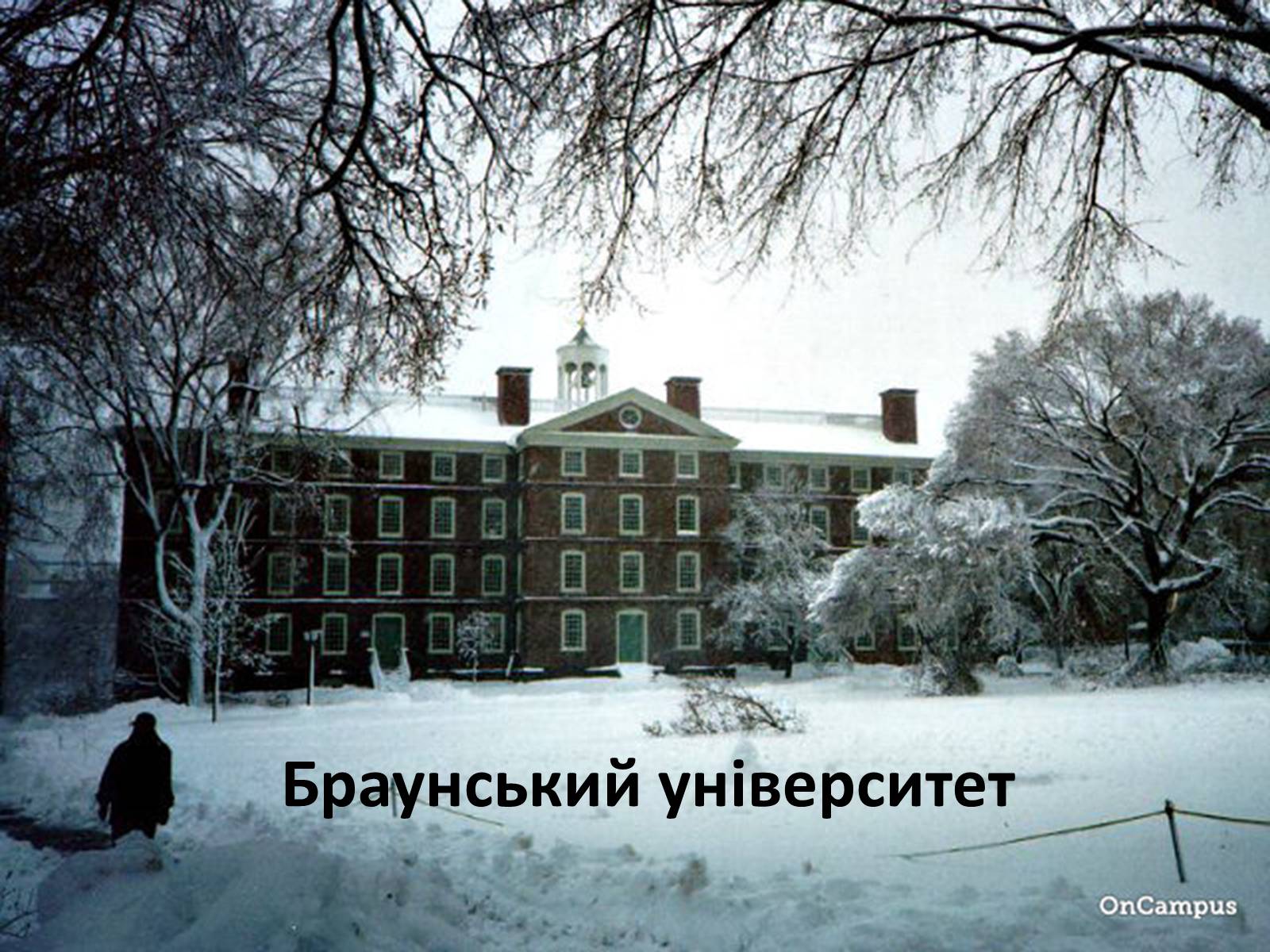 Презентація на тему «Культура США» - Слайд #35 Презентація на тему «Культура США» - Слайд #35