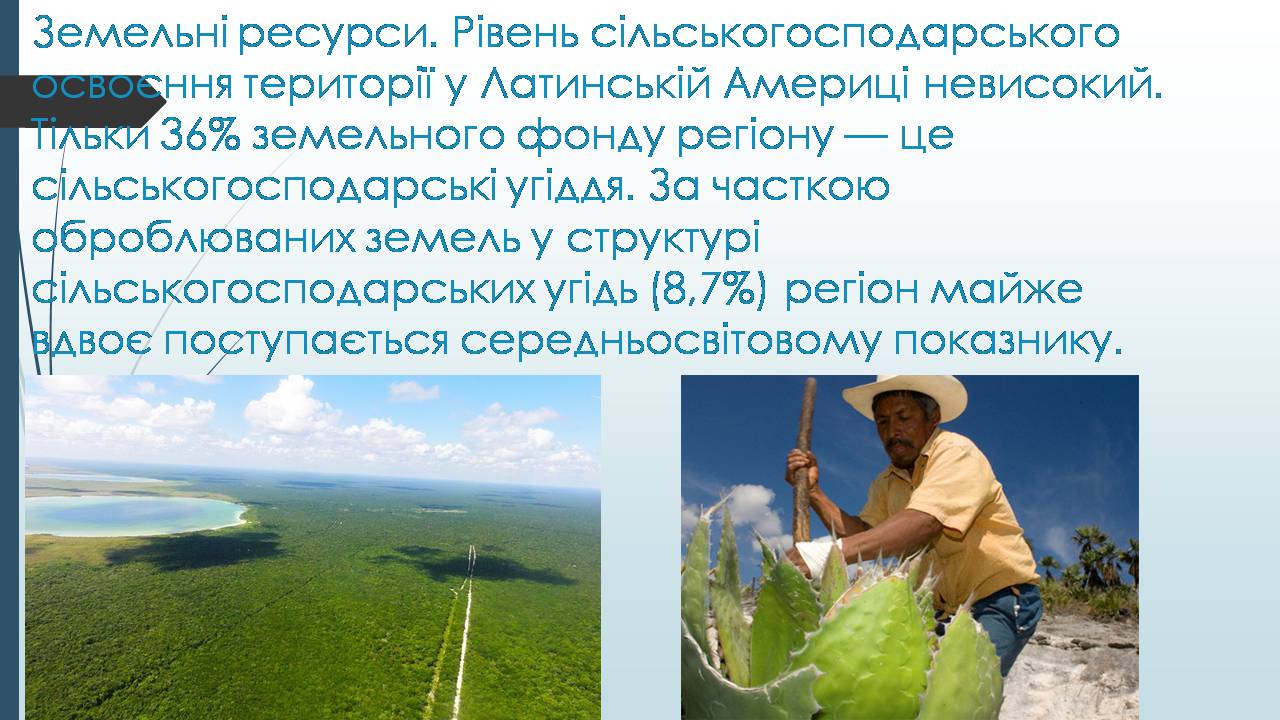 Презентація на тему «Латинська Америка» (варіант 6) - Слайд #8 Презентація на тему «Латинська Америка» (варіант 6) - Слайд #8